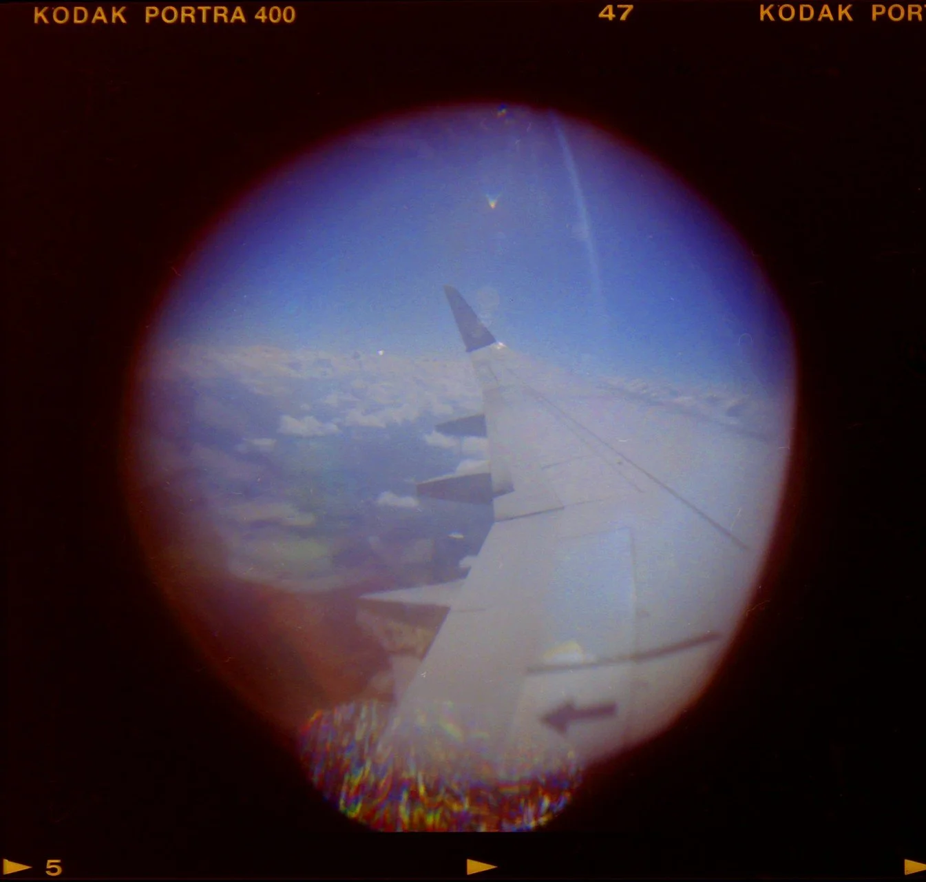 FISHEYE FLIGHT