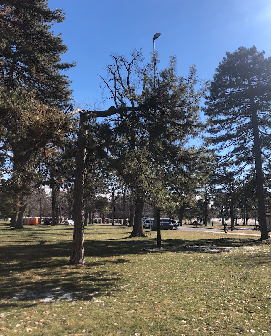 [Guest post] Finding better ways by Marshall Opel