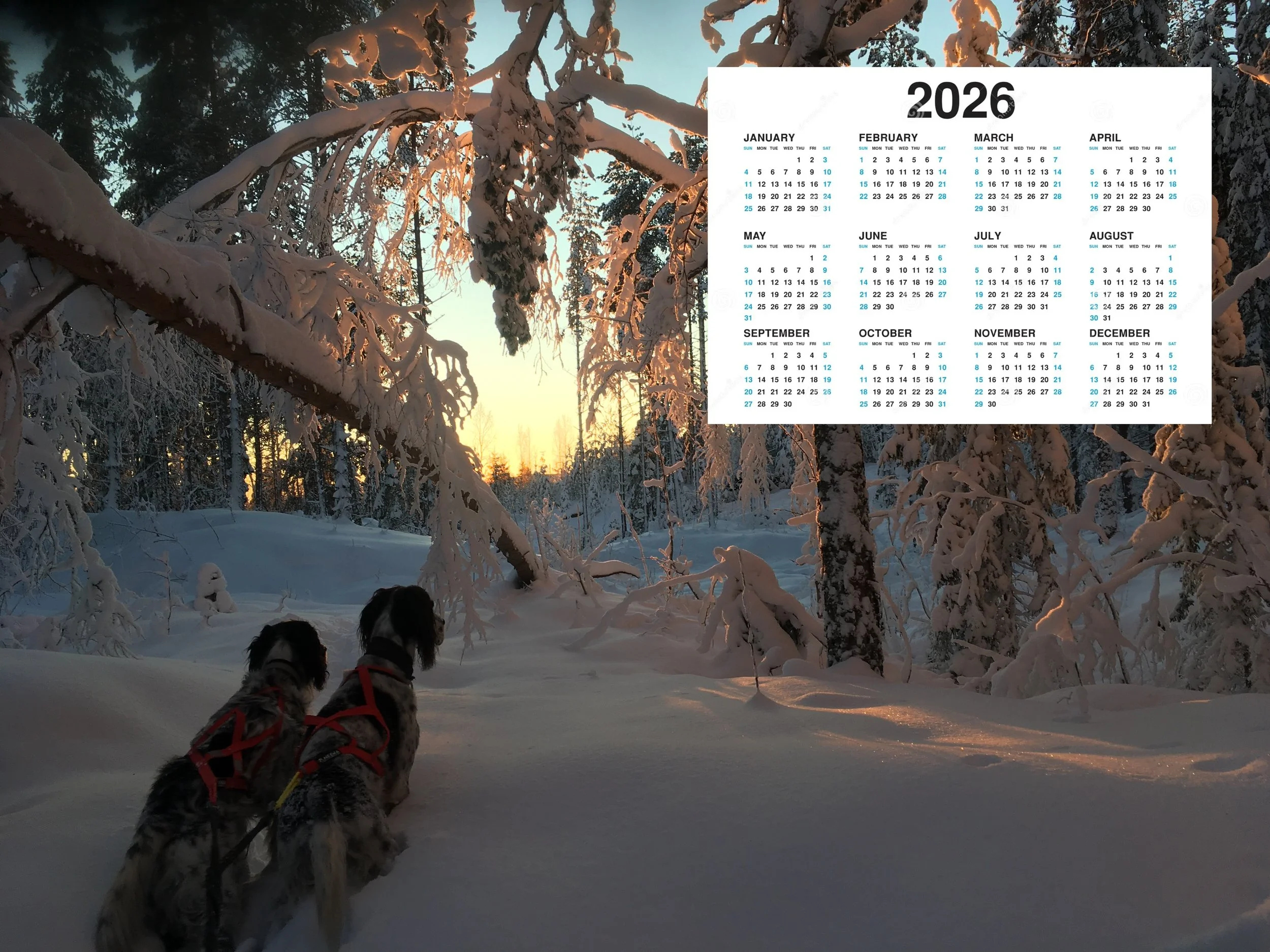 Foreløpig årsplan for aktiviteter i 2026