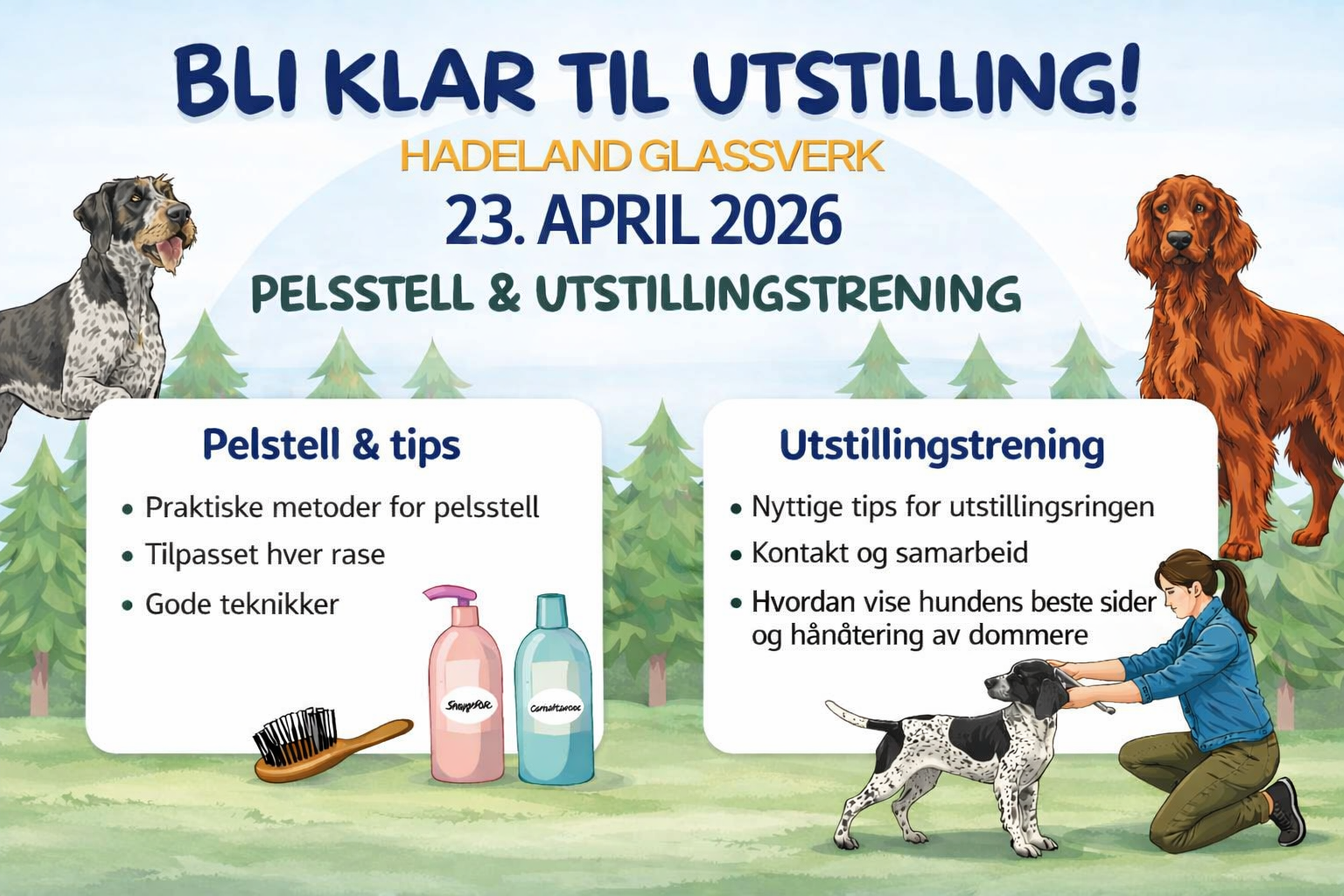 Pelsstell og utstillingstrening for fuglehunder