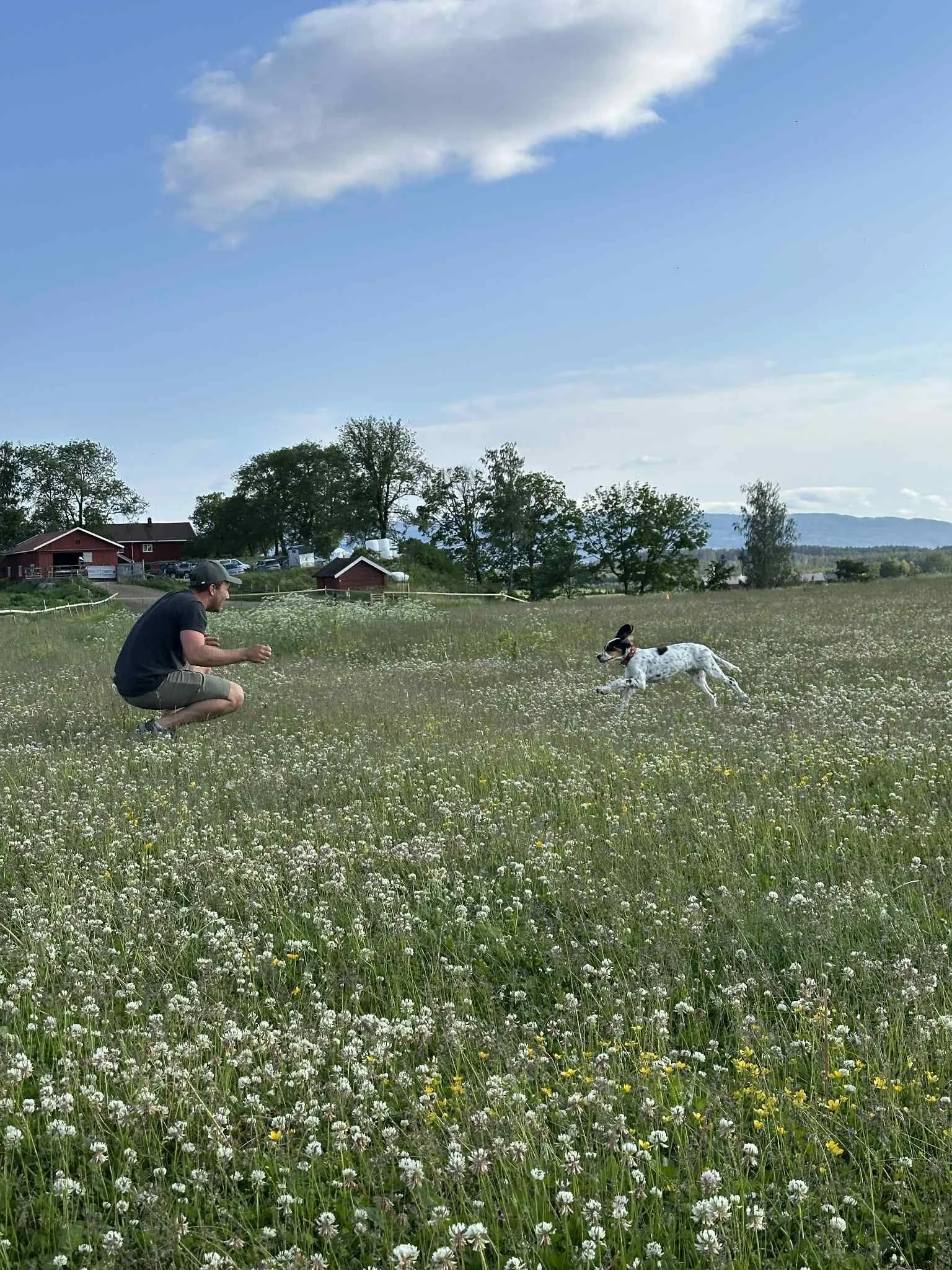 🐾 Velkommen til Drop‑in treninger i Moe gård hundepark