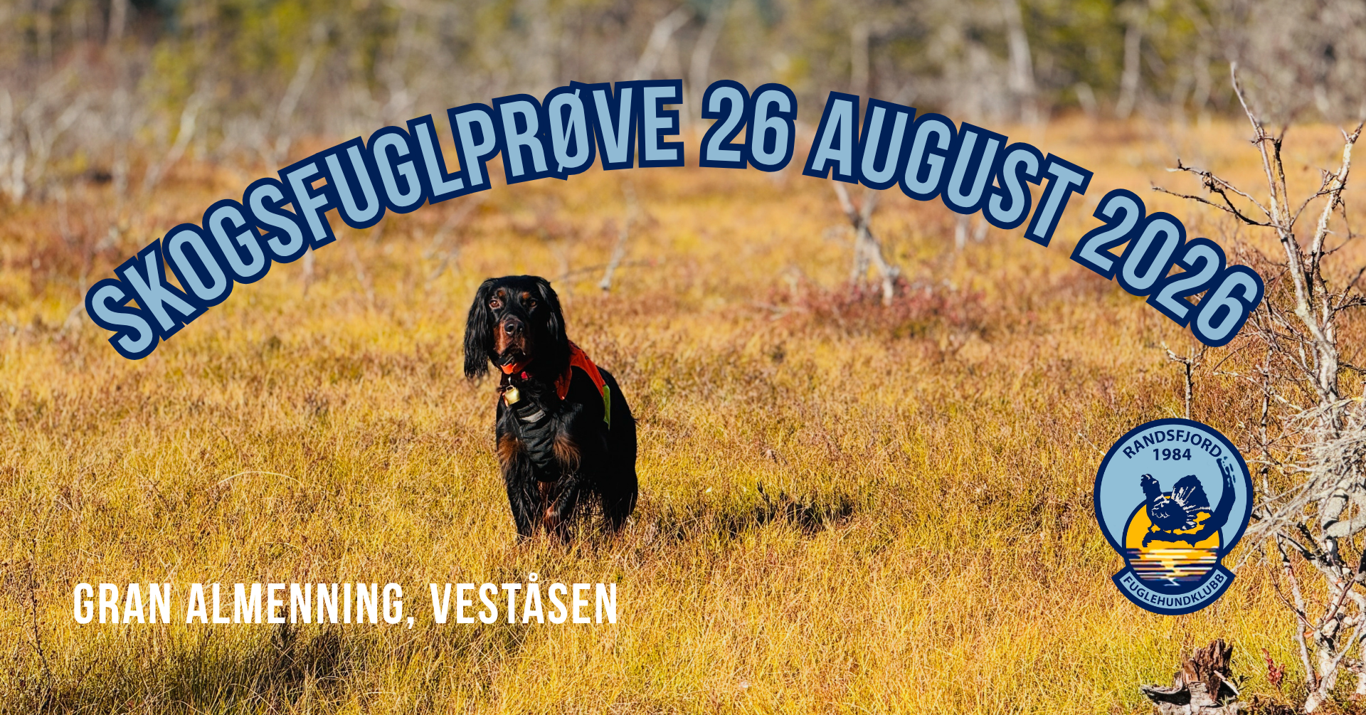 Skogsfuglprøve på Veståsen