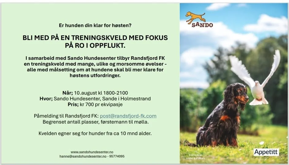 Rios-treningskveld hos Sando