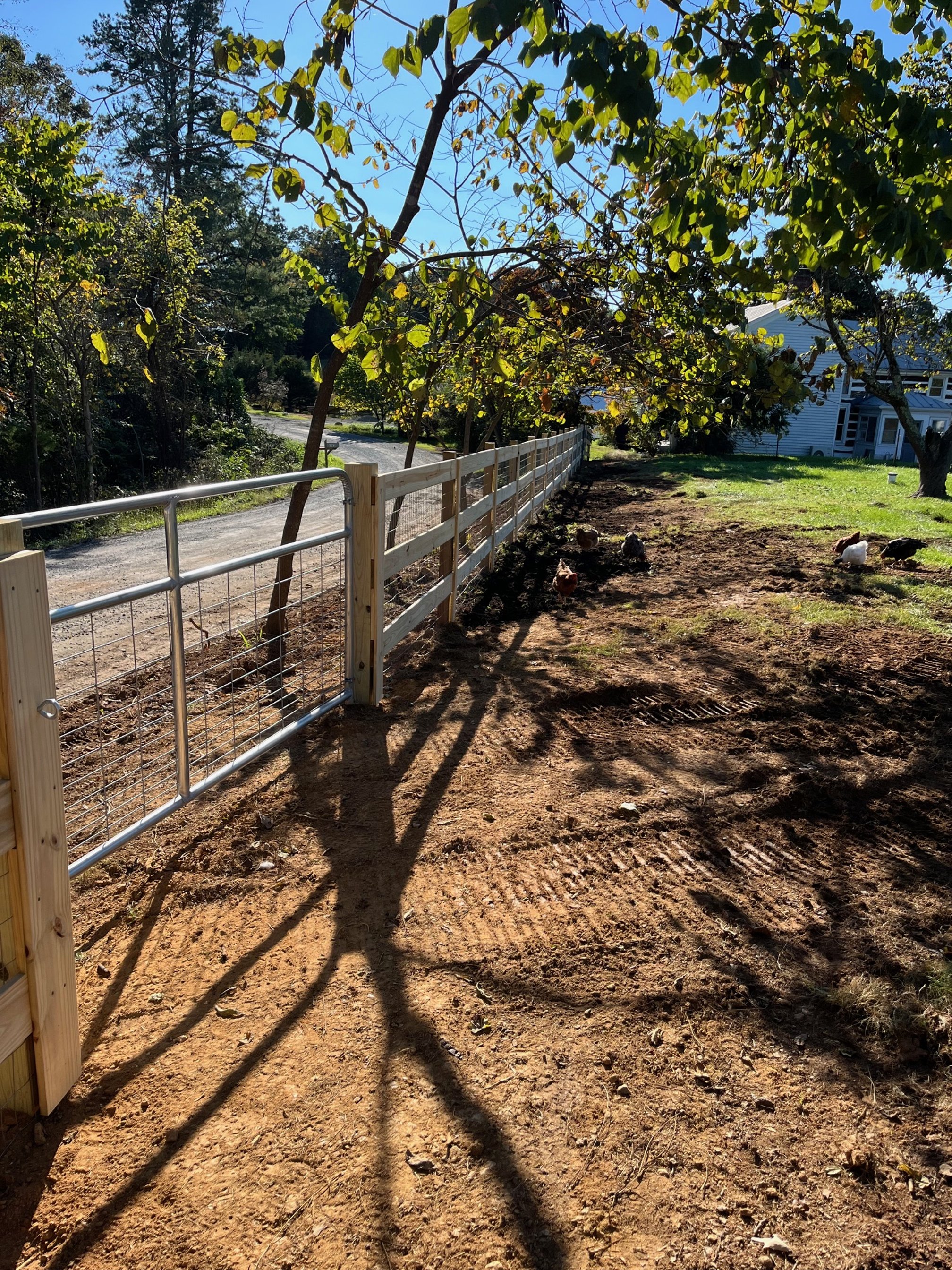 Fencing project in Crozet - after image