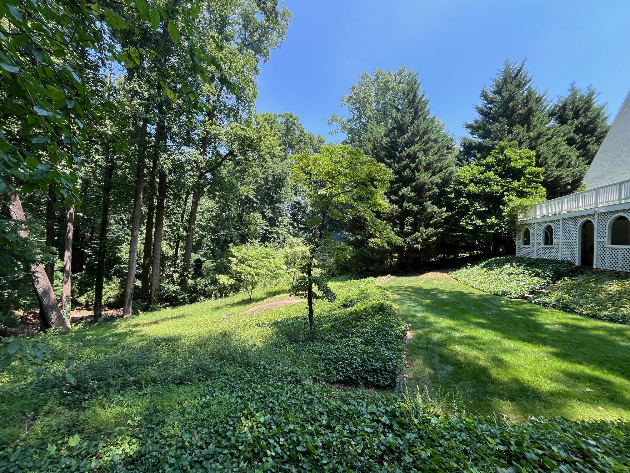 Land transformation project in Charlottesville - before image