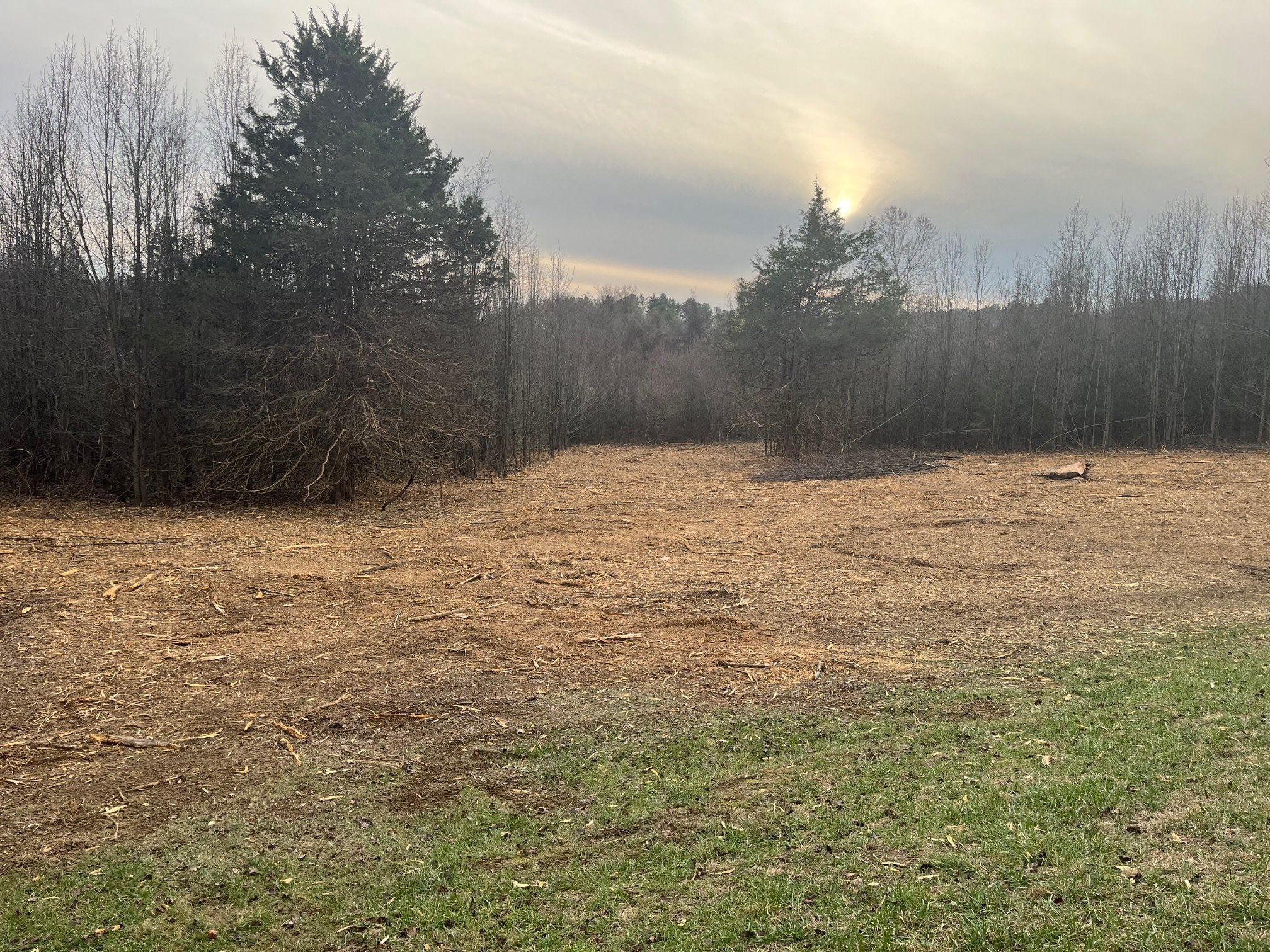 Large forestry mulching project in Staunton