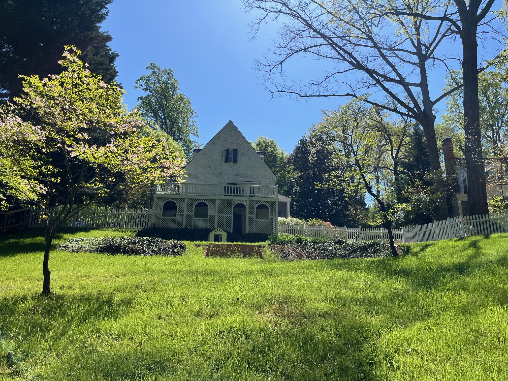 Land transformation project in Charlottesville - after image. Removed concrete slab and overgrown vegetation, regraded the slope and hydroseeded the yard.