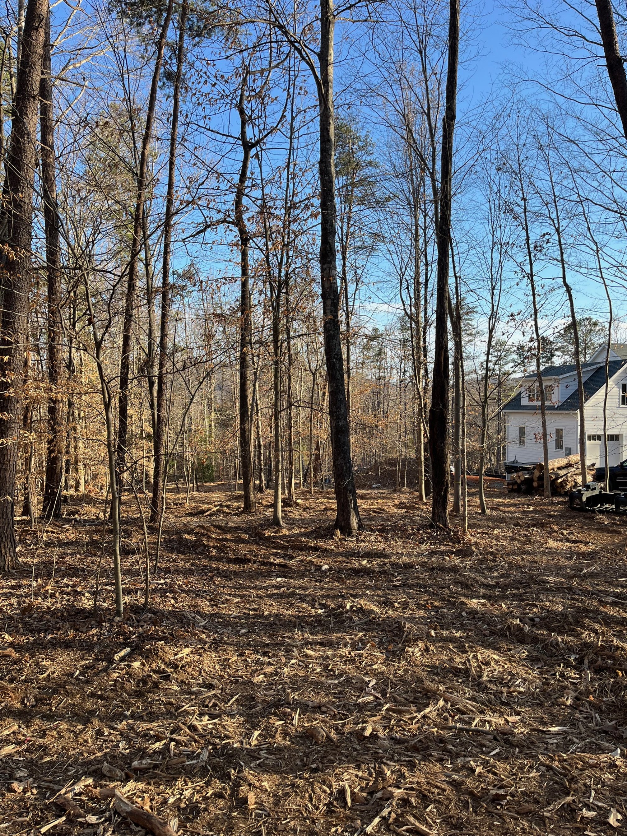 Forestry mulching for new construction in Crozet - after image