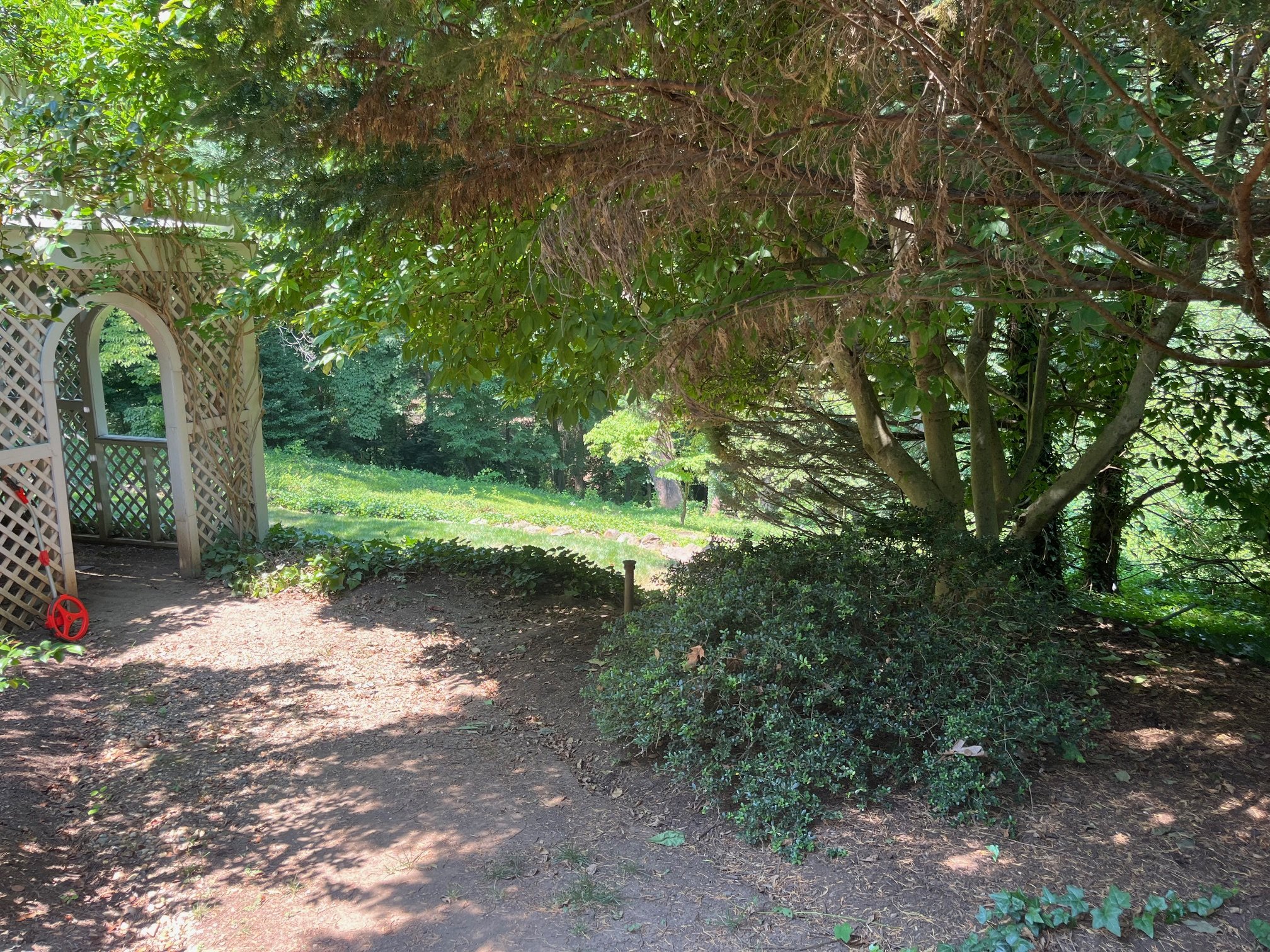 Land transformation project in Charlottesville - before image