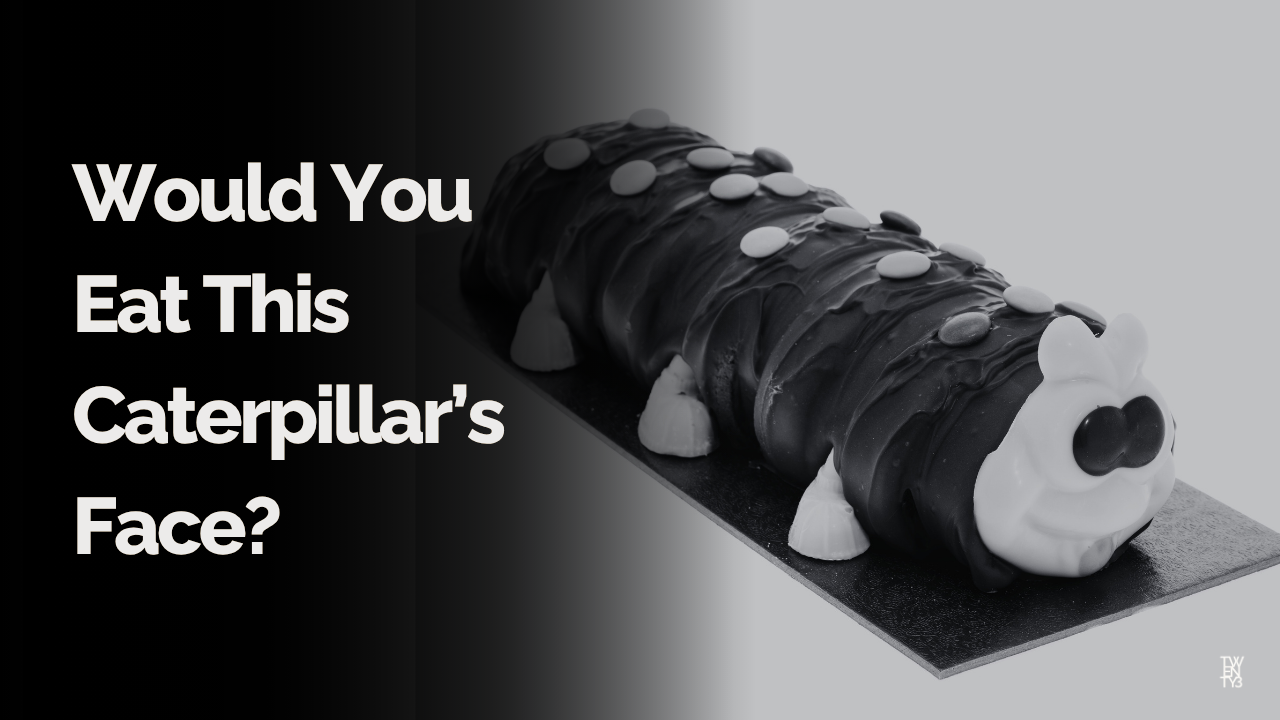 Would You Eat This Caterpillar's Face? 
