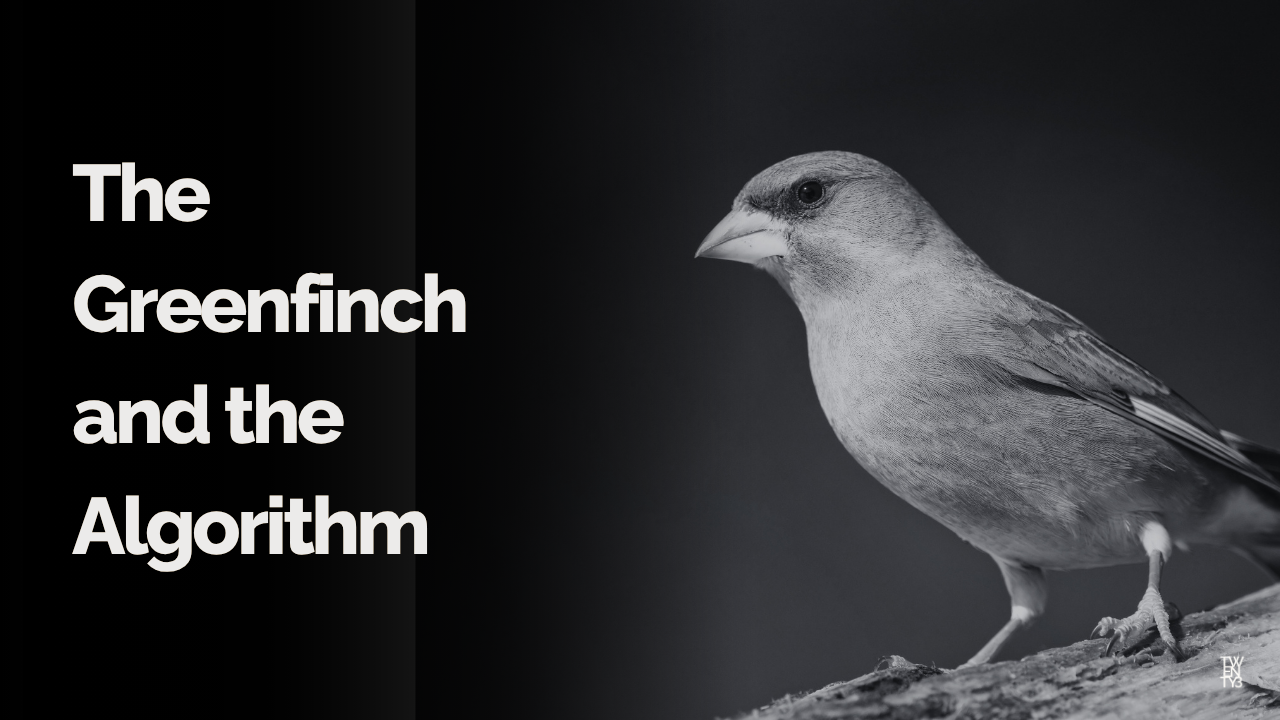 The Greenfinch and the Algorithm