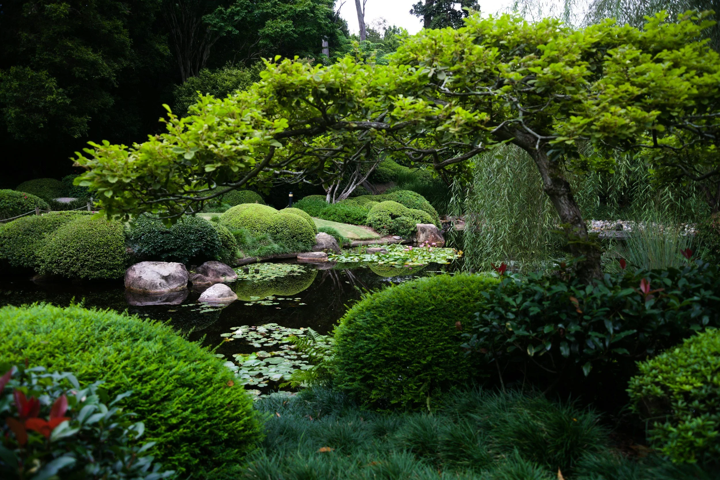 Why it’s in the Cabinet: Unlike generic white noise apps, you can adjust specific frequency sliders like "Japanese Garden" to block out background noise based on your room's acoustics.