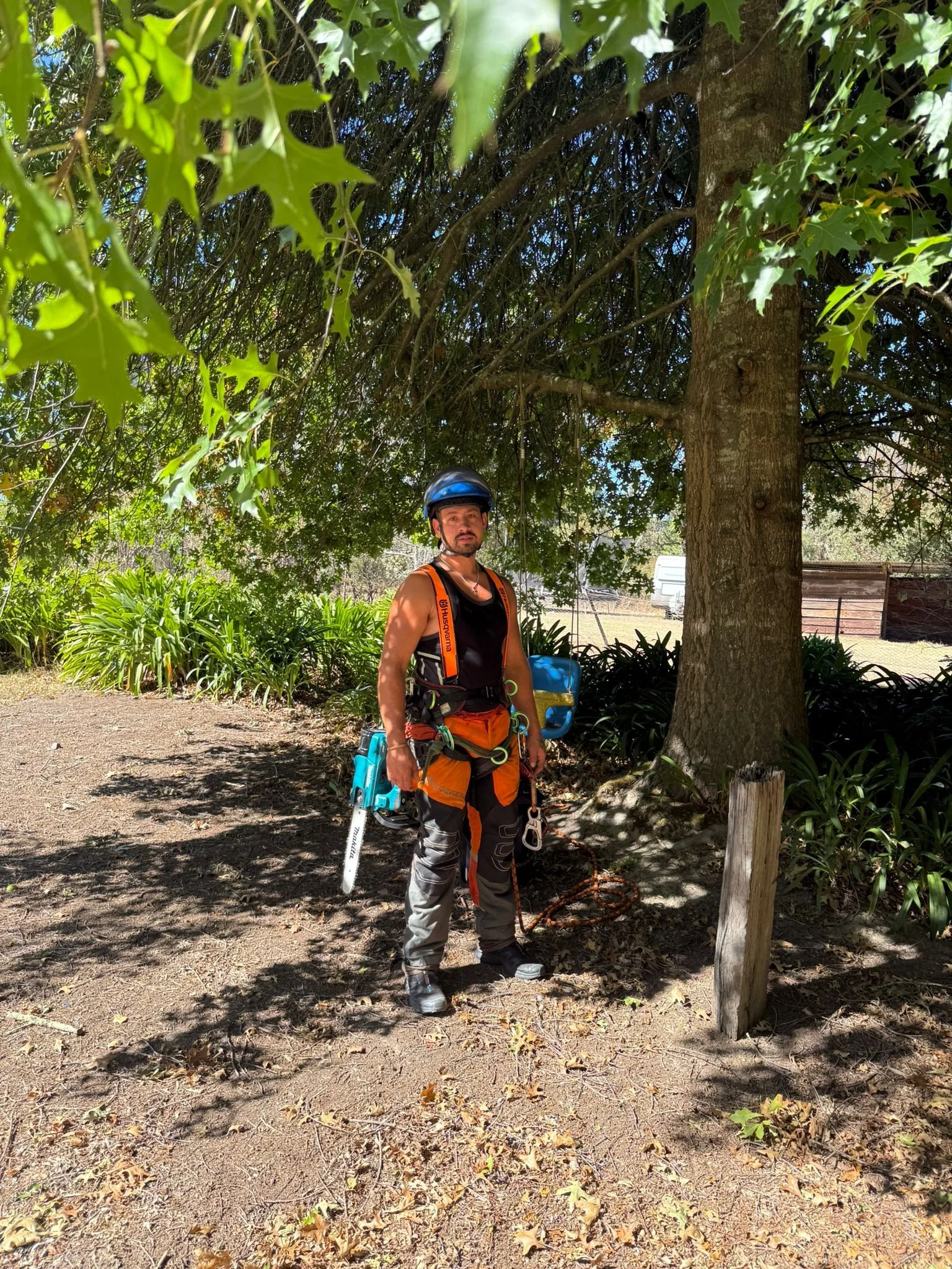 WhatsApp Image 2025-07-01 at 3.53.49 PM (1).jpeg