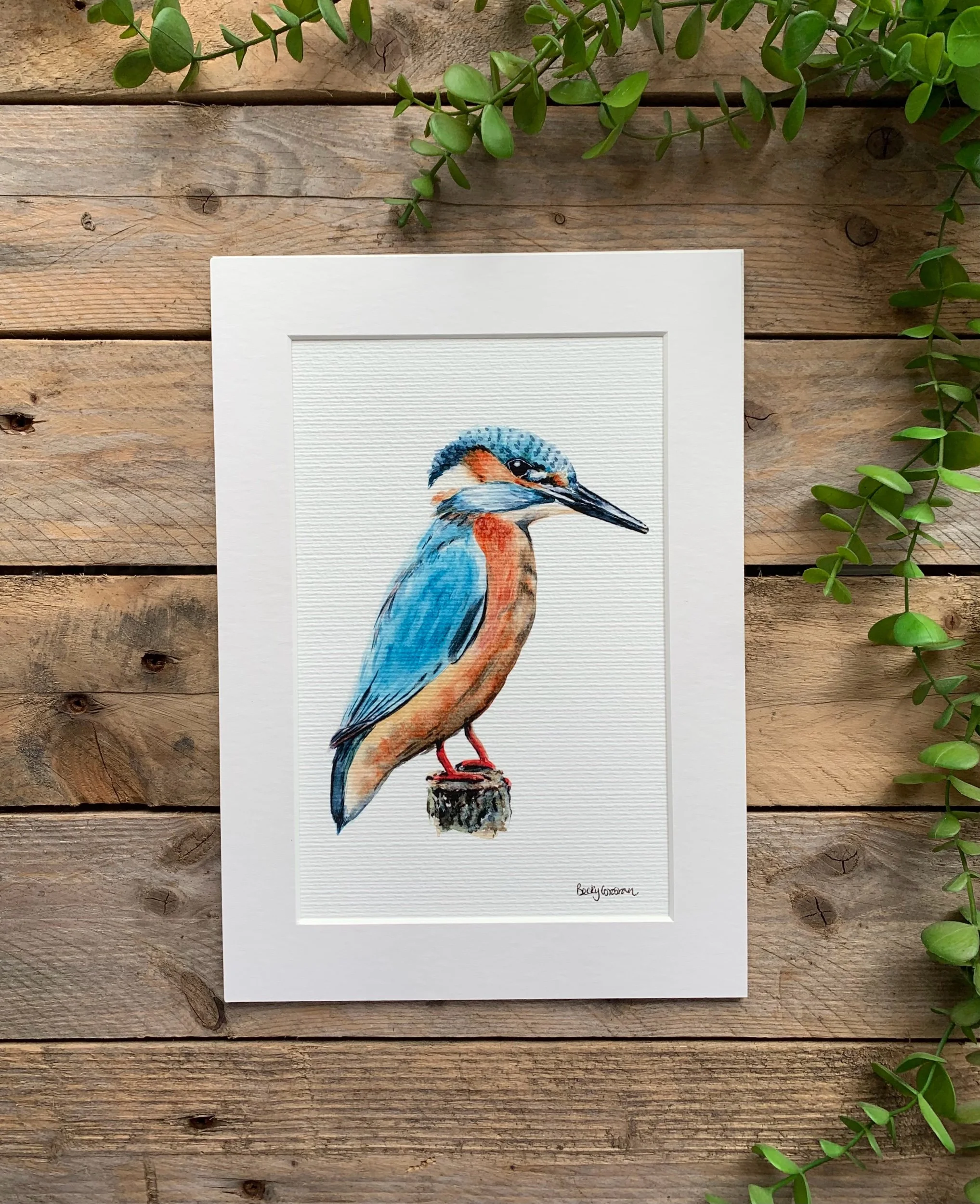 Kingfisher Fine Art Print