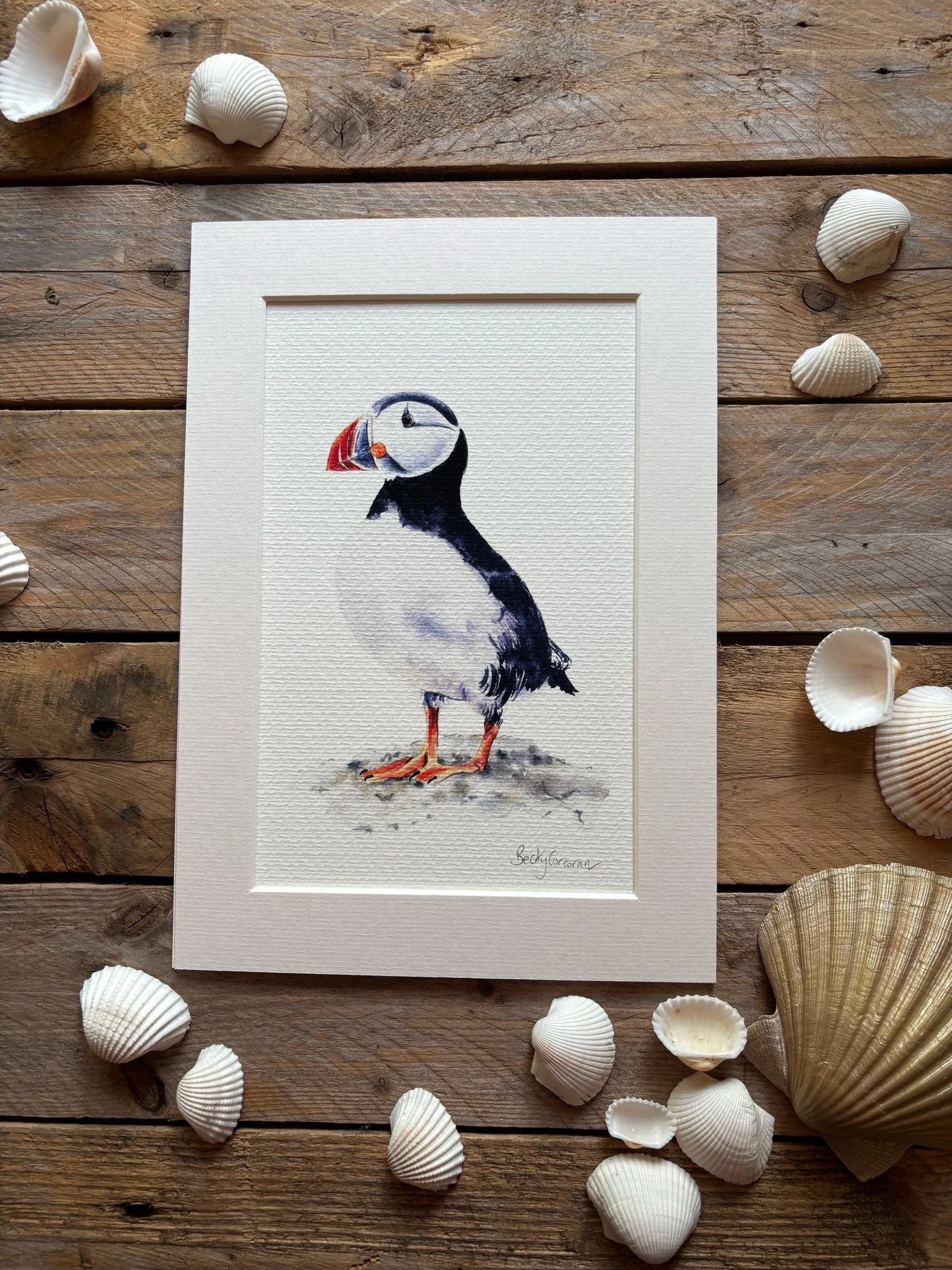 Puffin Fine Art Print