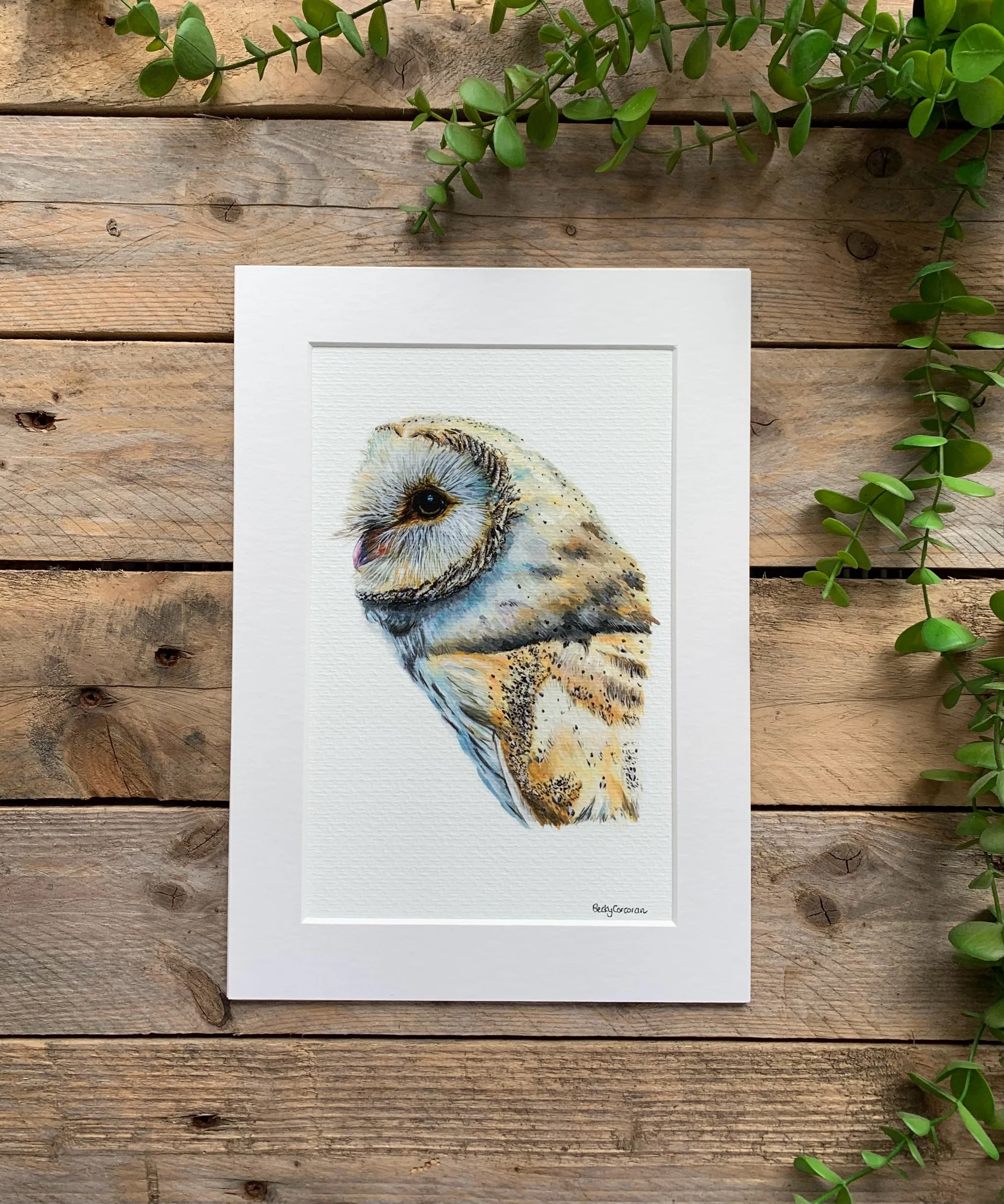 Barn Owl Fine Art Print