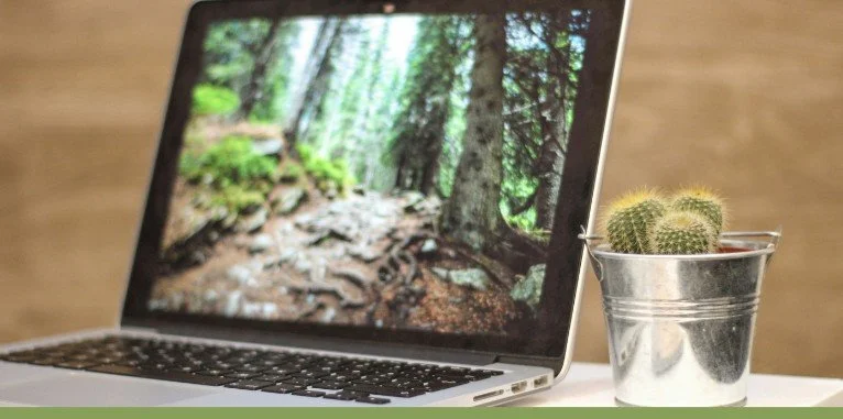 AI in recruitment: Why human judgement still matters in sustainability hiring