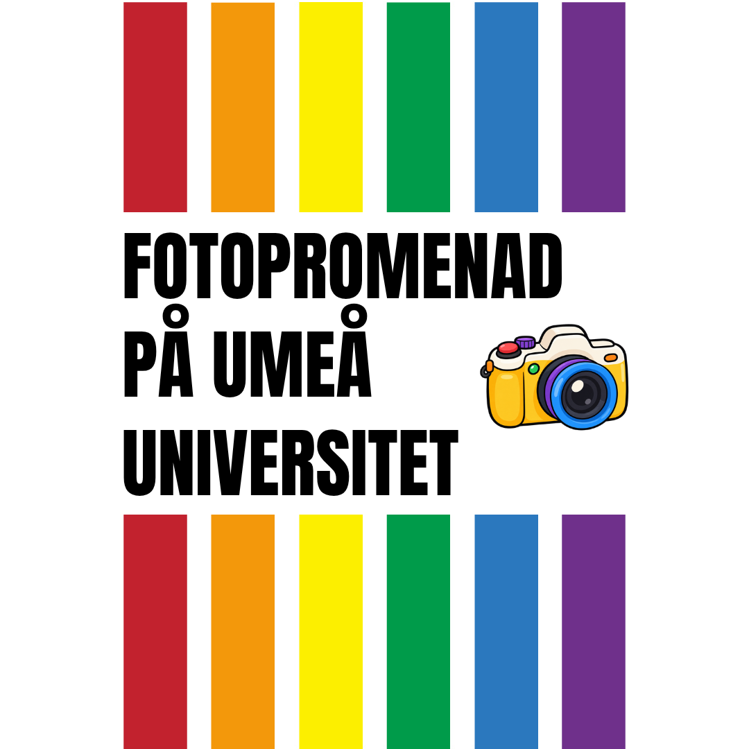 REGNBÅGSFOTOPROMENAD