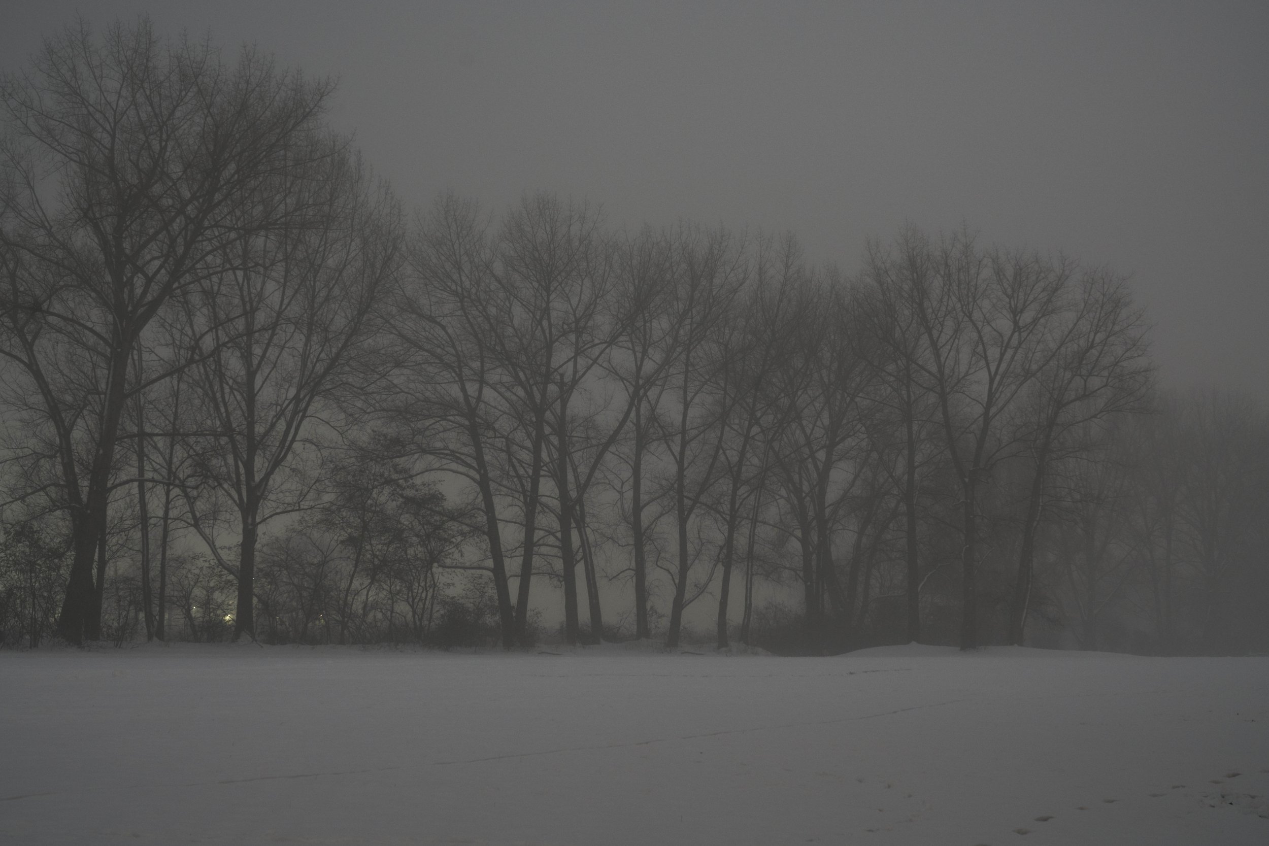 Nigh_Shift_148_Layout_test.jpg