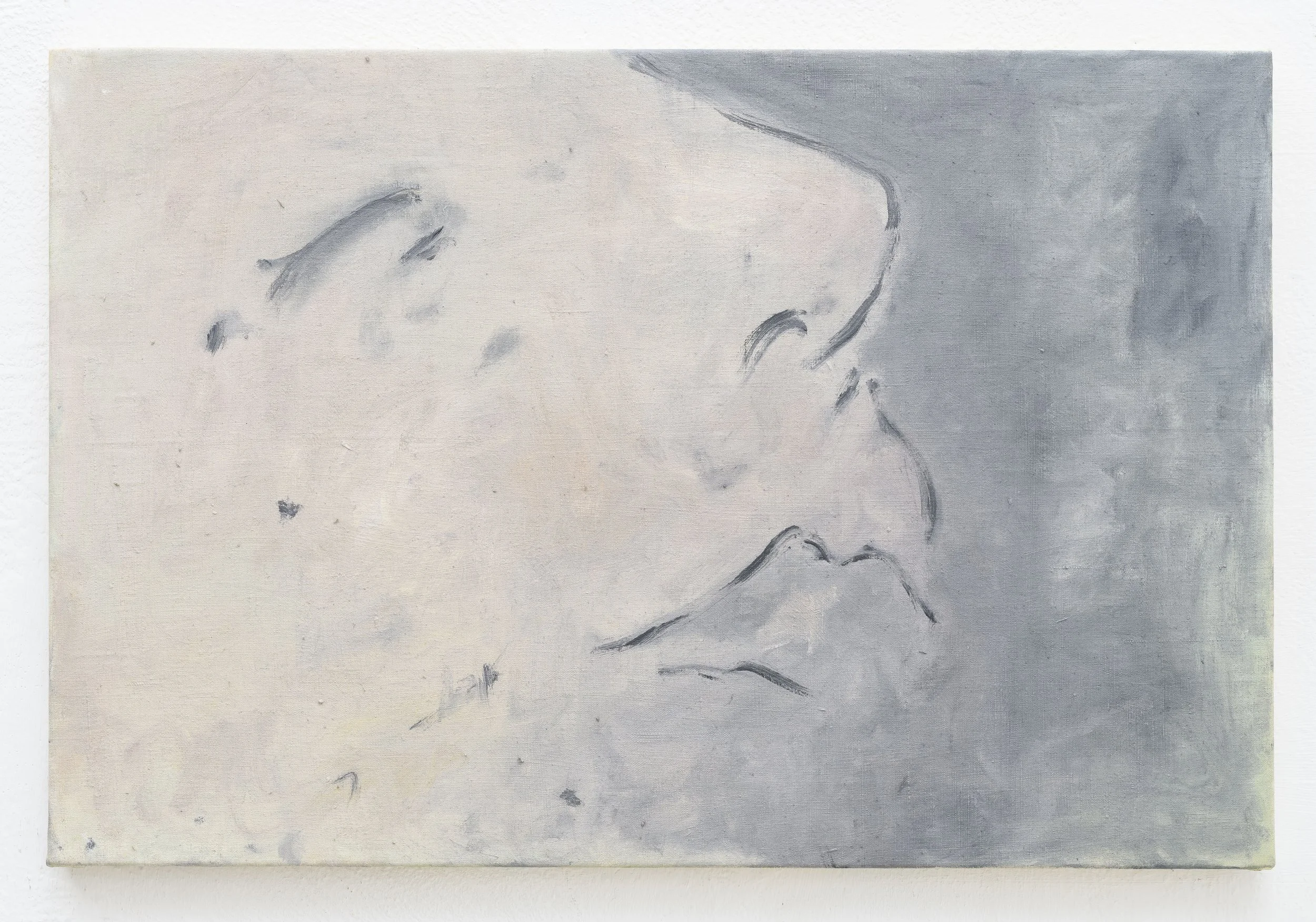 Narcolessia dell’arte d’oggi | Olio su stoffa intelaiata | 60 x 40 cm | 2025 | Photo Giorgio Benni