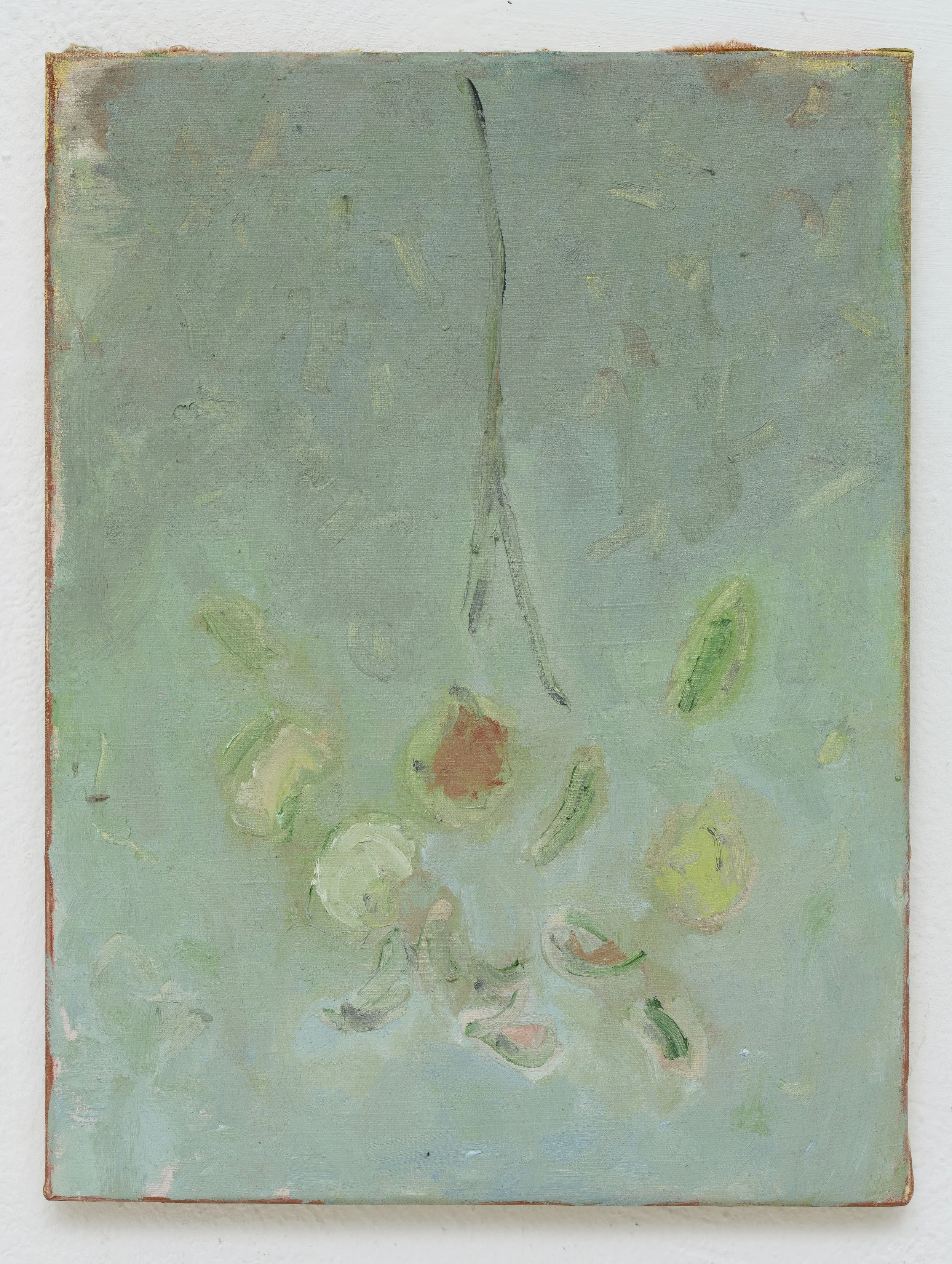 Mazzo di fiori a seccare / la pittura | Tecnica mista su tessuto di cotone intelaiato | 40 x 30 cm | 2025 | Photo Giorgio Benni