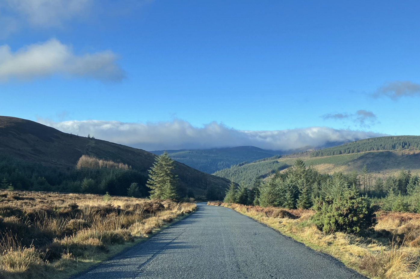 Screenshot 2025-01-16 at 12.55.51.png