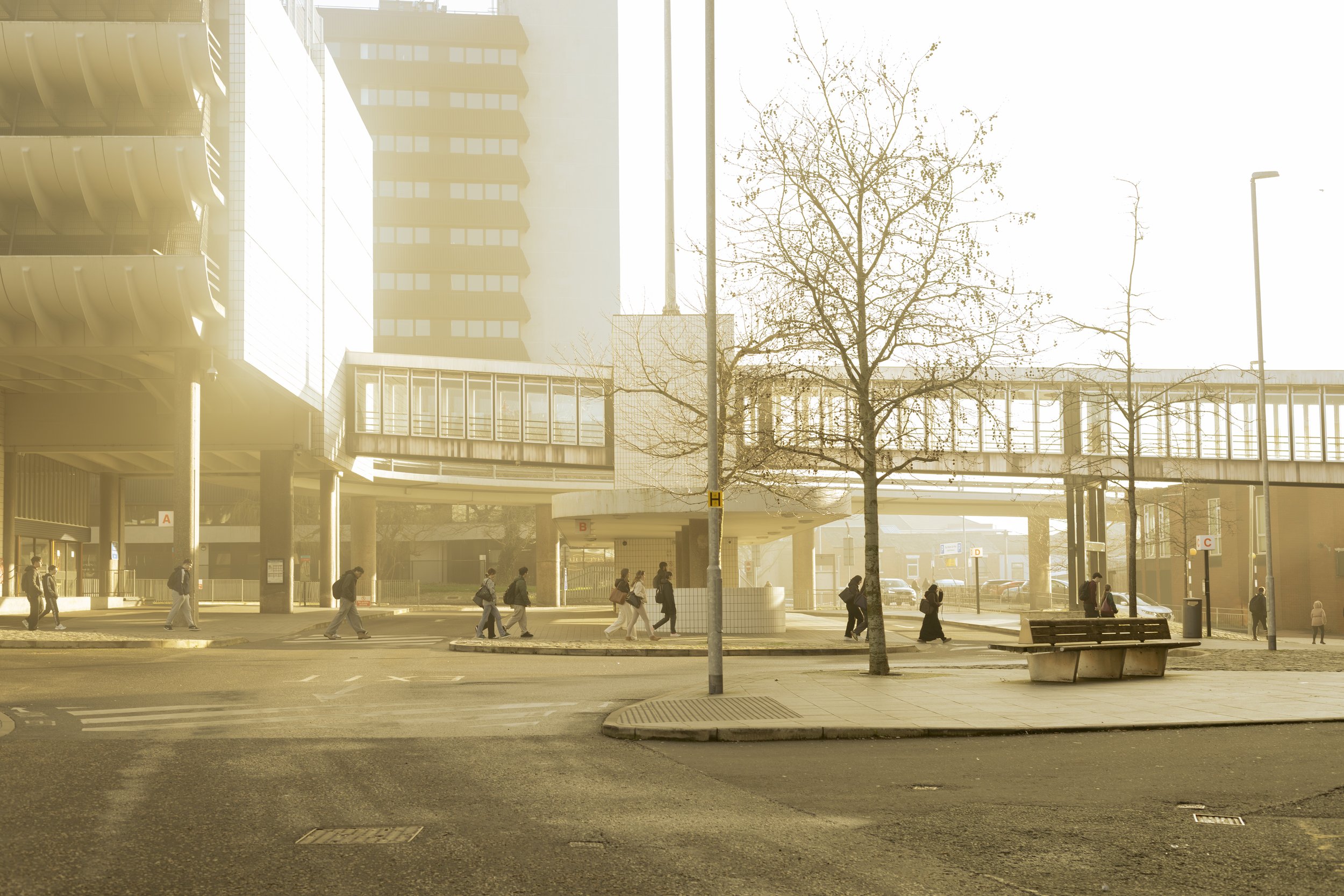 Photography Workshop