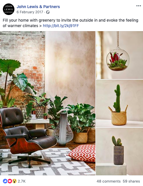 Plants.png