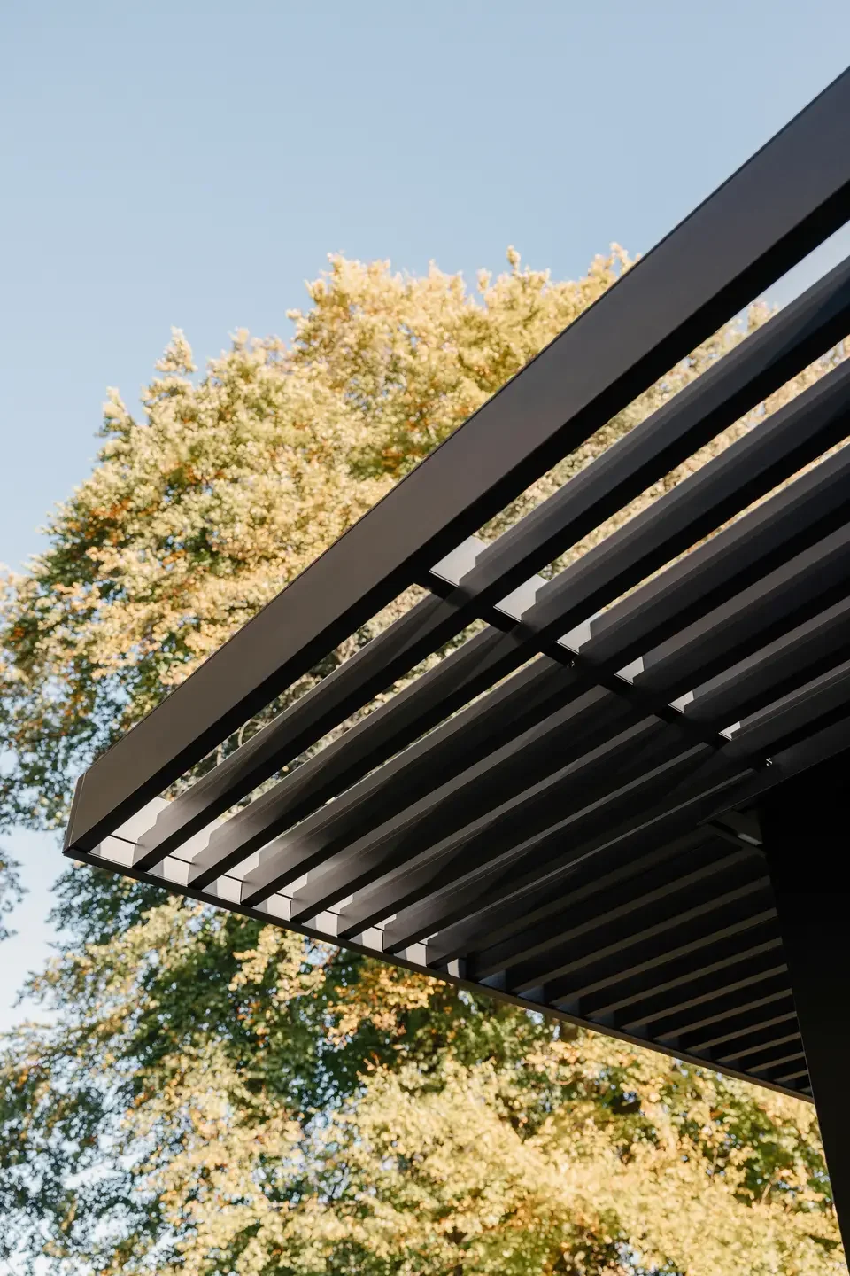 Amani_autumn_2024_Hannes_Otte_3038 (1).webp