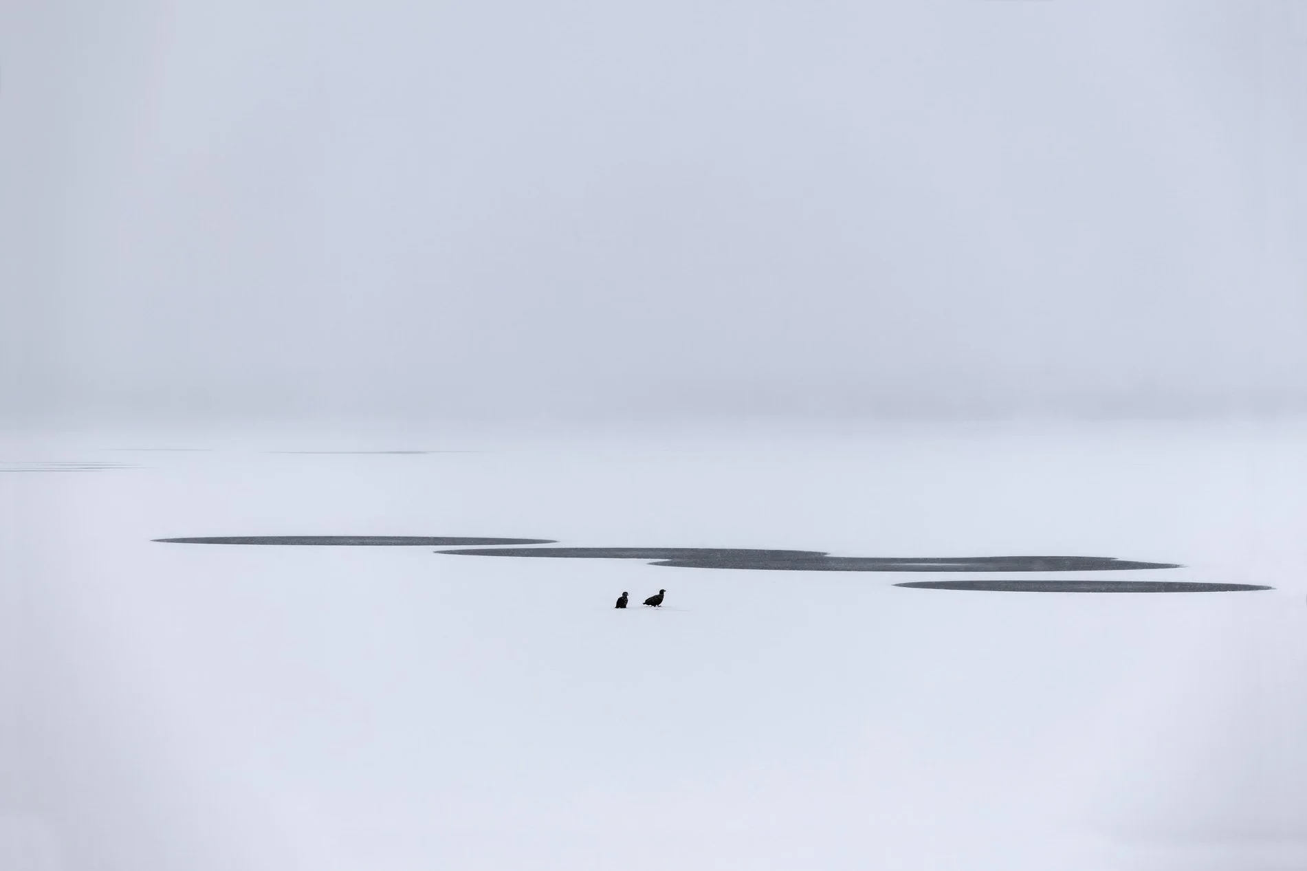 715A0791.jpg