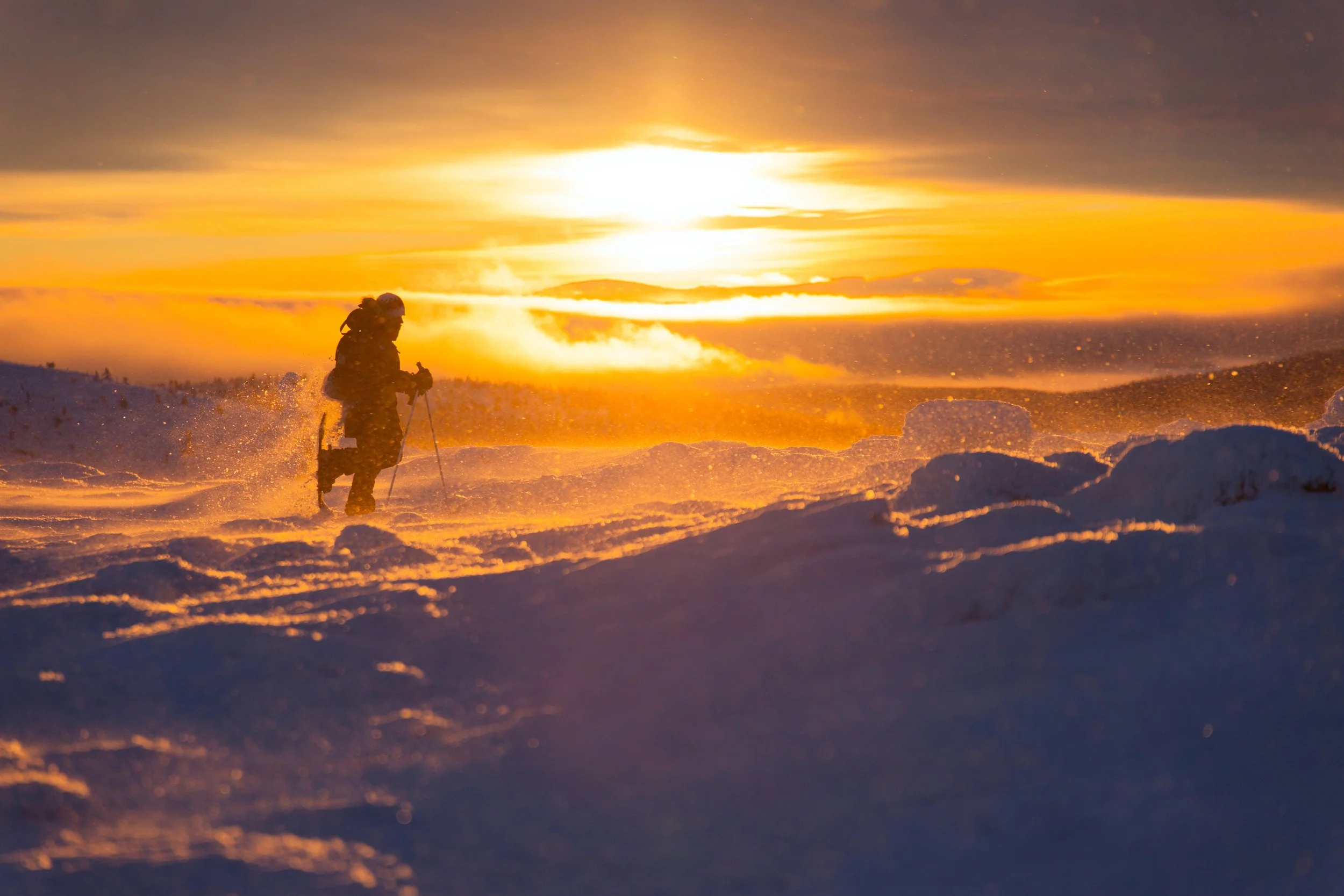 Vent sur le tunturi et raquettes III.jpg