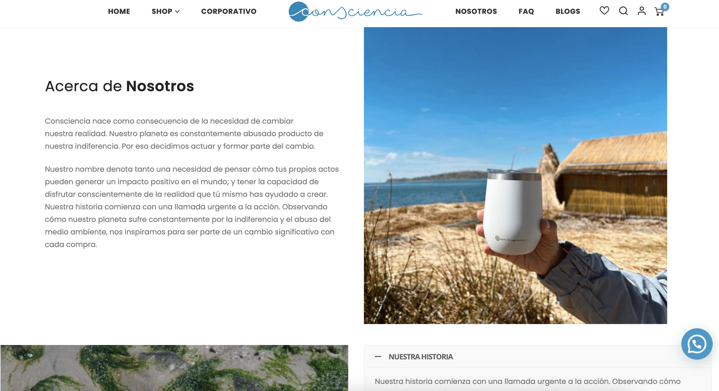 Screenshot 2024-10-07 at 11.26.41 AM.png