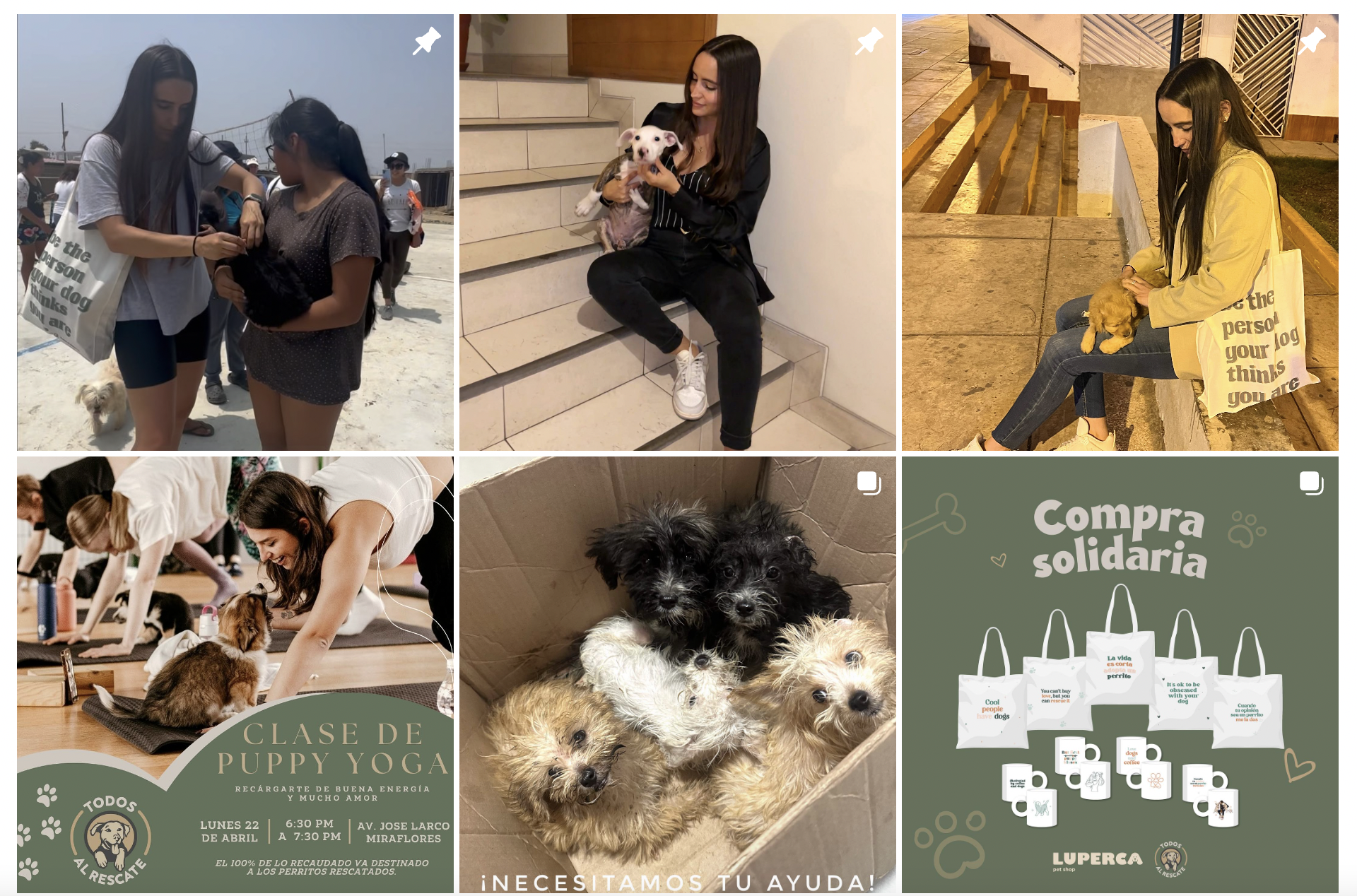 Screen Shot 2024-04-19 at 11.06.27 AM.png