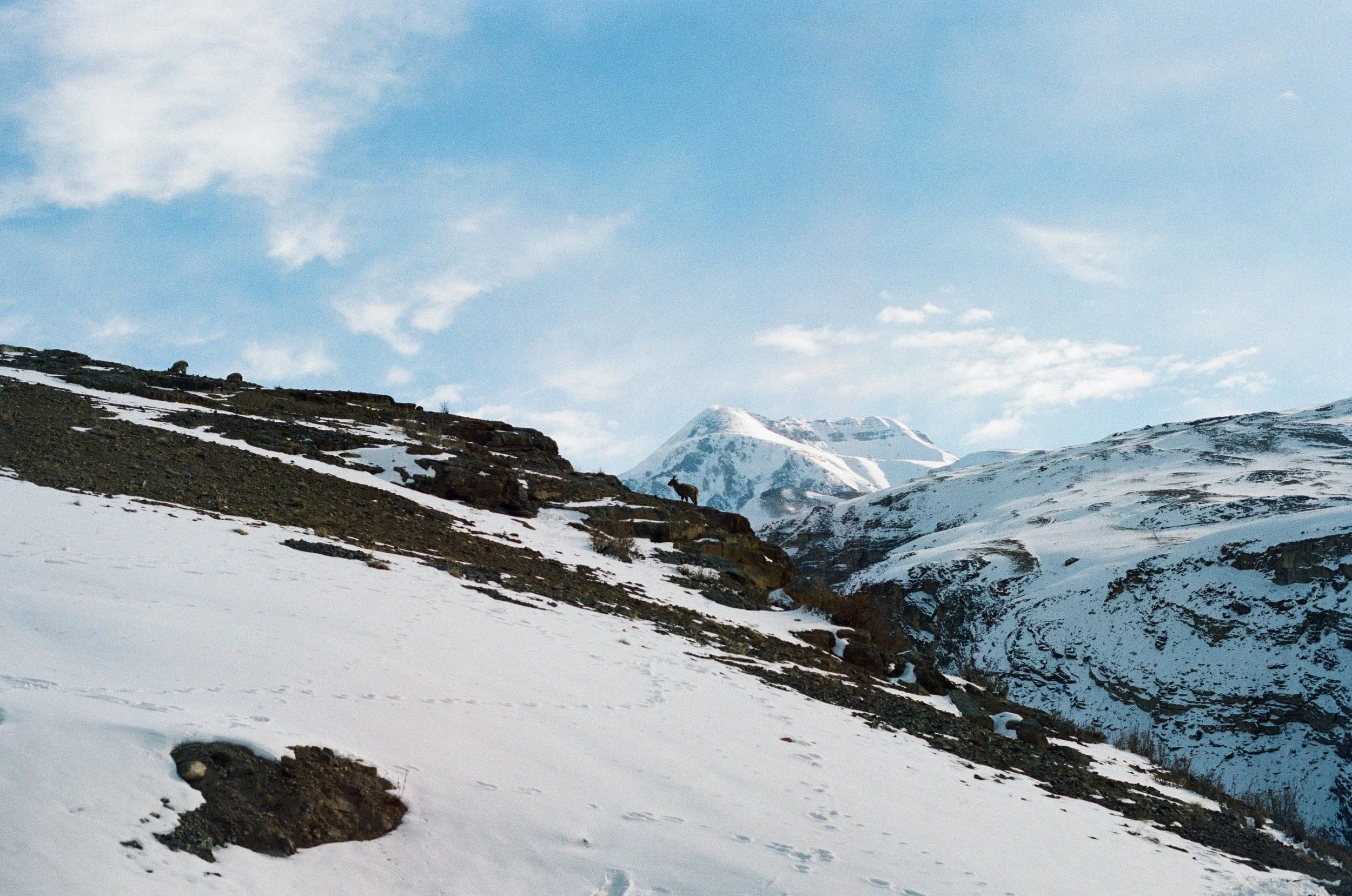 Spiti Valley Feb 2024