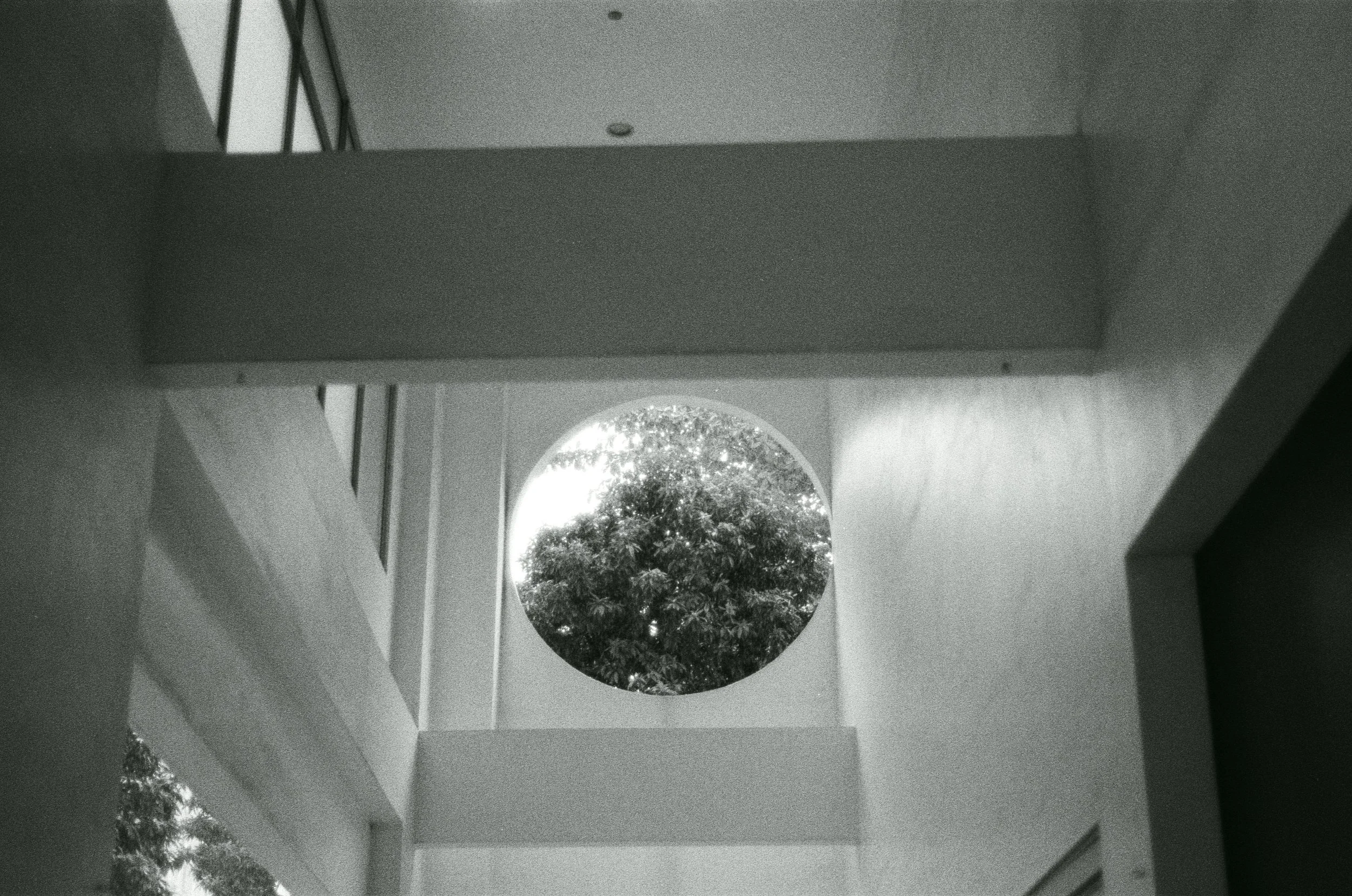 B&amp;W | Life itself