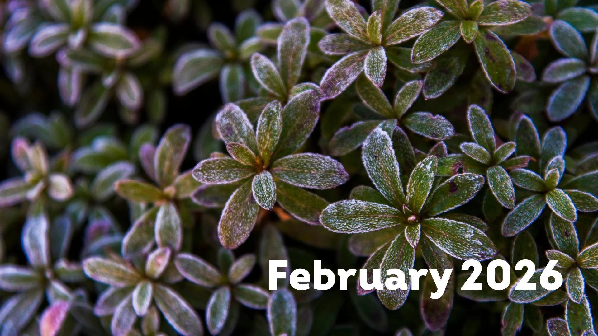 The Only Thing More Powerful Than Hate is Love