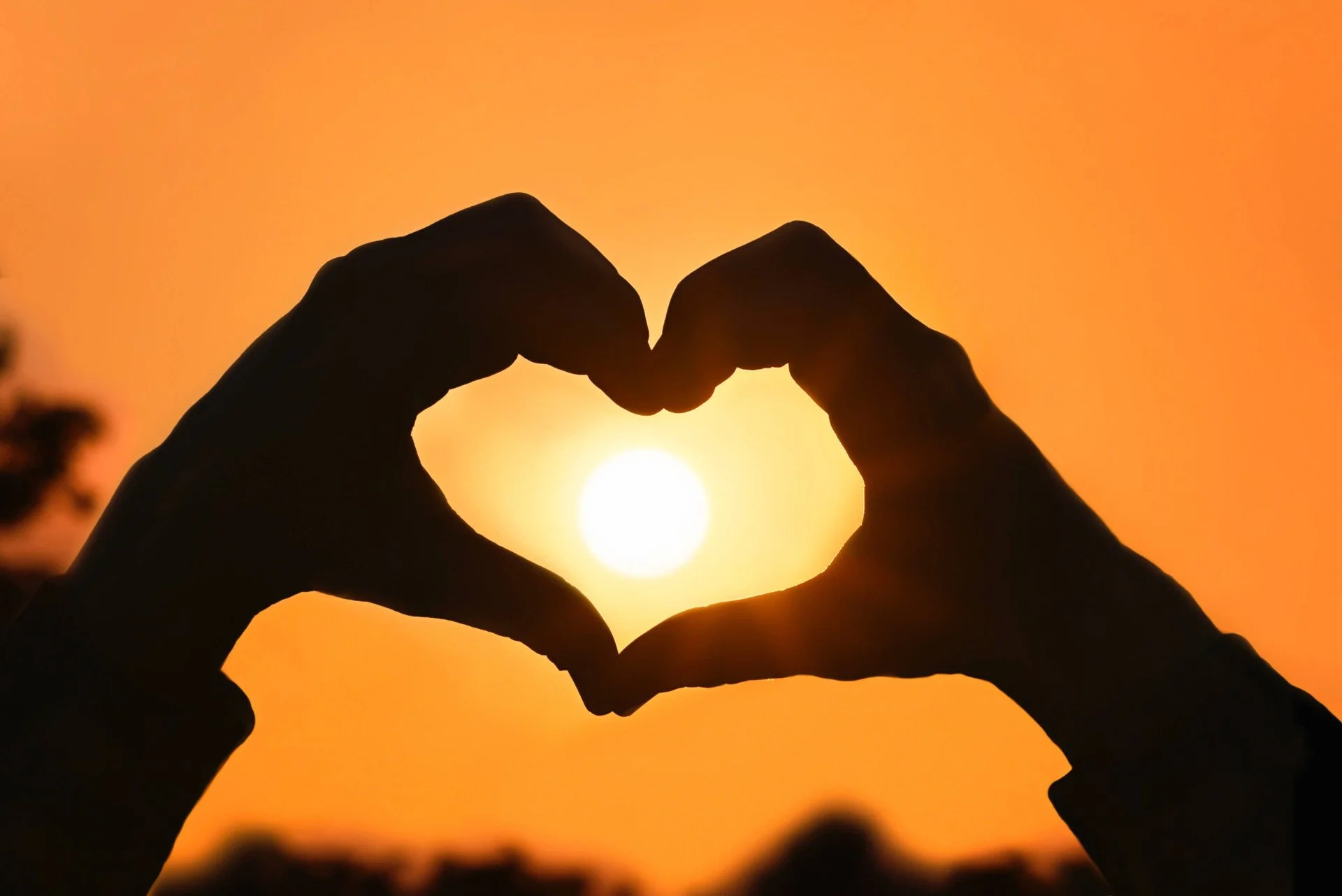 Love is Back!
