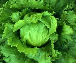 More Raw Food Storage Tips – Save Time in the Kitchen!