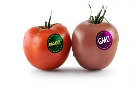 Raw Food Focus: GMOs and The Right to Know
