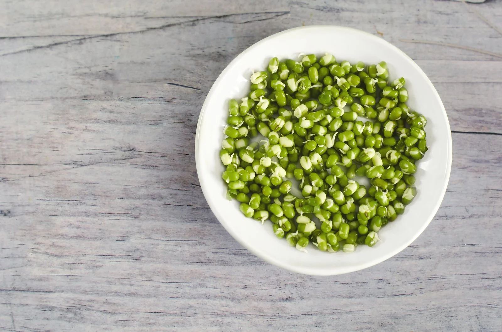 Sprout Your Way to Health