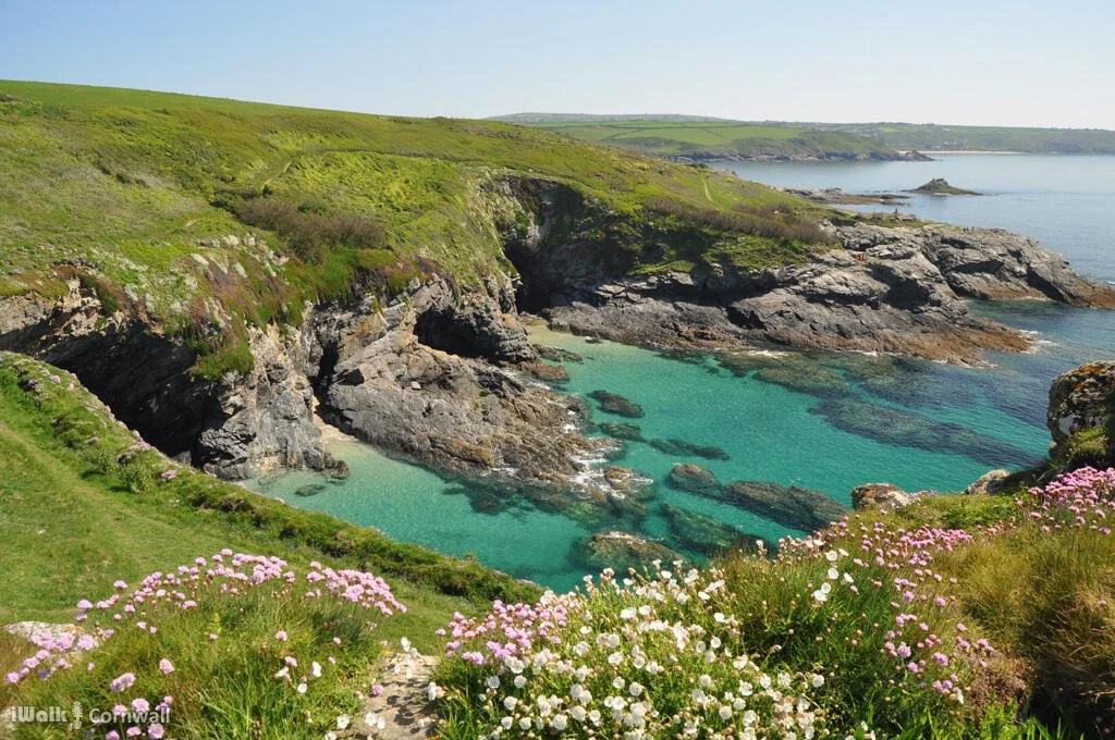 International Musicians Seminar at Prussia Cove