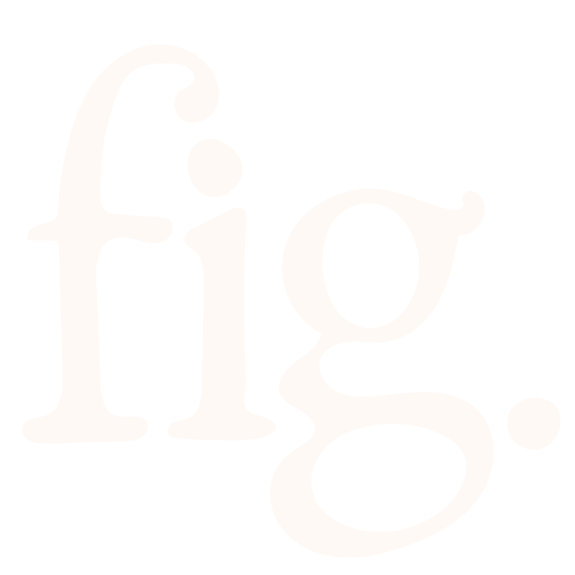 Agency Fig