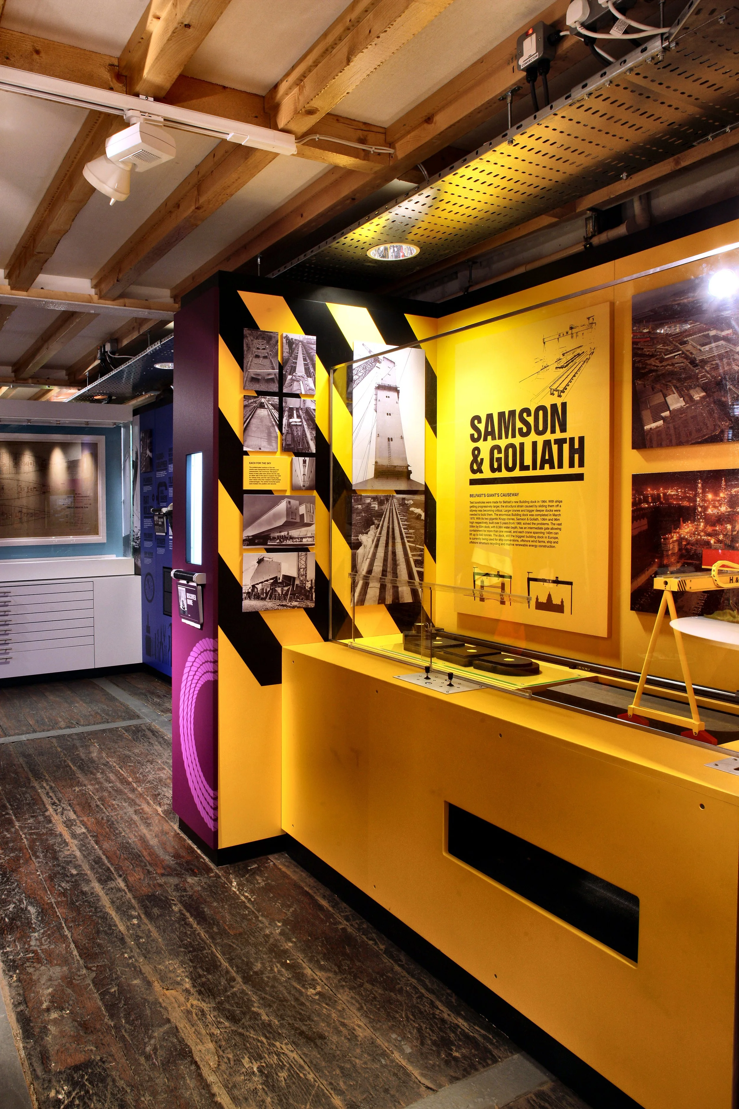 04_yellow_samson_goliath_camera_enhanced.jpg