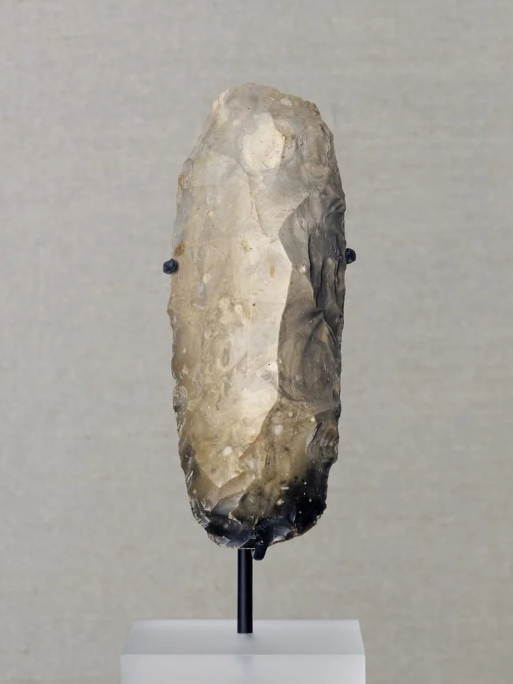 TRI_1246_original.jpg