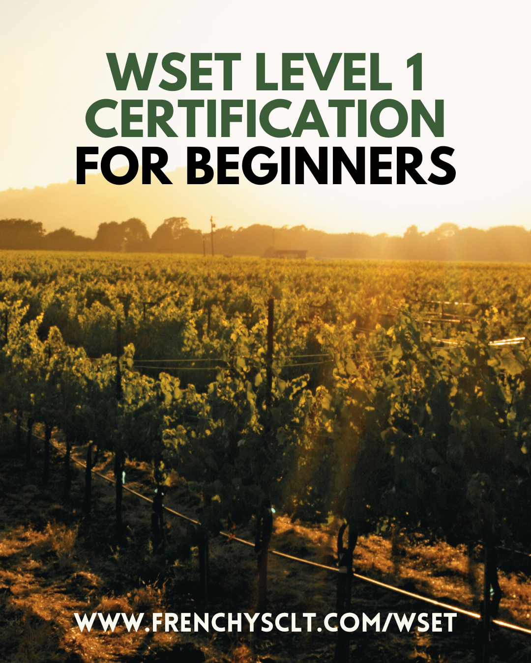 WSET Level One Certification