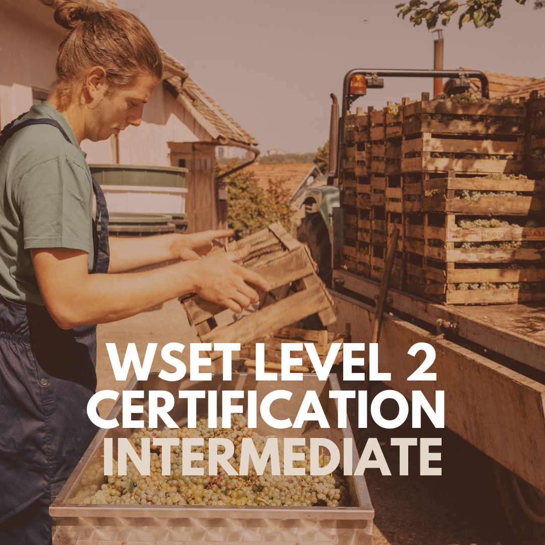 WSET LEVEL TWO CERTIFICATION