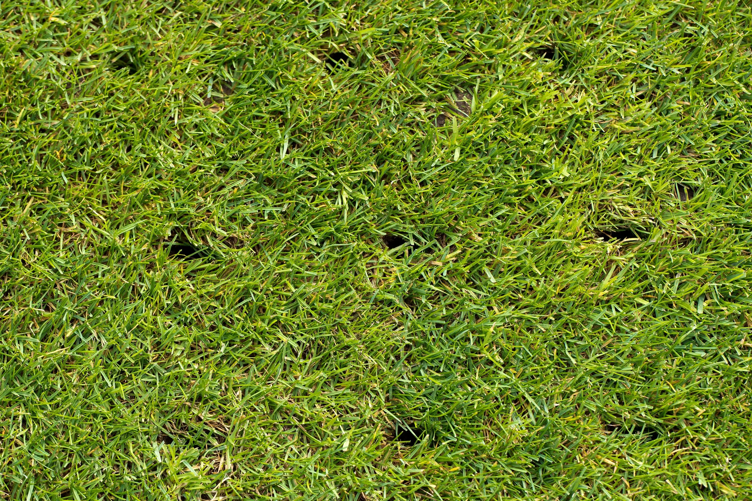 Lawn Aeration in Alexandria, VA, and Falls Church, VA, Helps With Thin Spots and Slow Growth