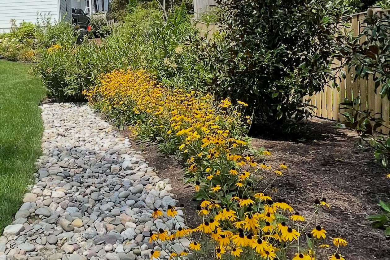 Expert French Drain Installation for Lasting Landscape Protection