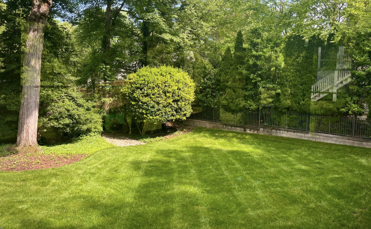 What Lawn Fertilizer Actually Does (And What Happens When the Timing Is Wrong) in Lorton, VA, and the Surrounding Areas