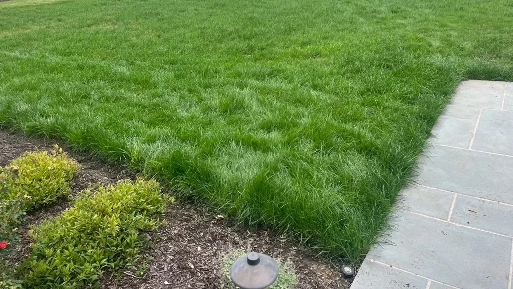Landscape Maintenance in Lorton, VA: What the August Through October Window Changes